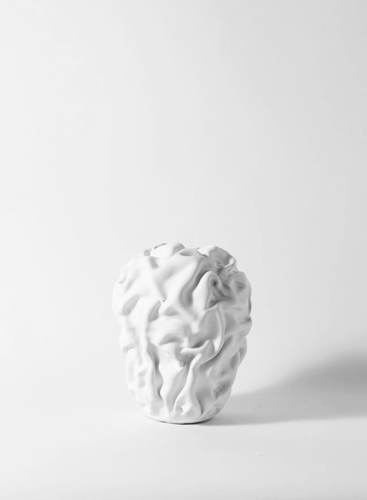 Morel_11