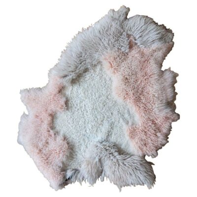 The Mystic Lamb by Carine Boxy