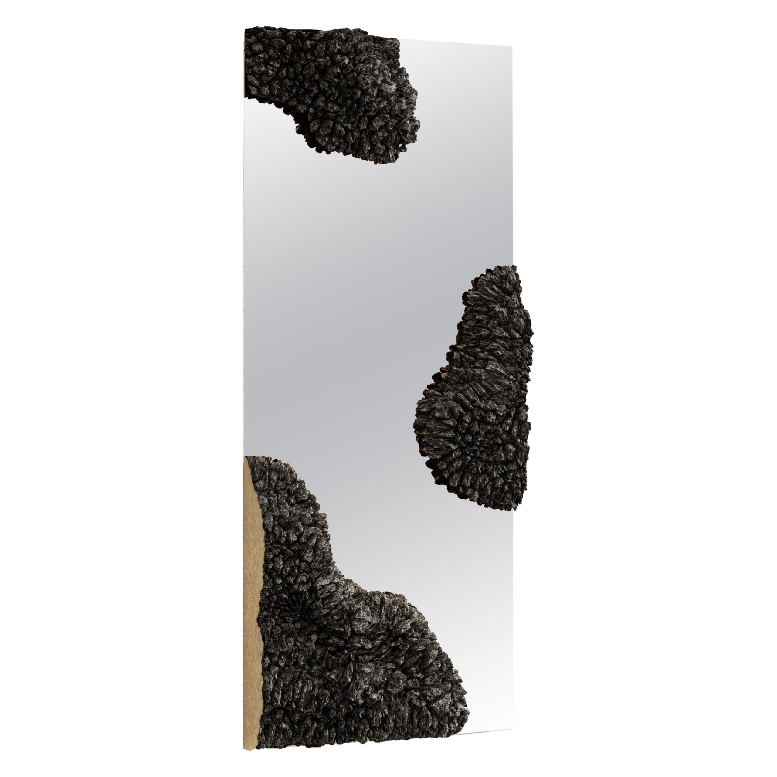 WL Mirror by Tipstudio 1