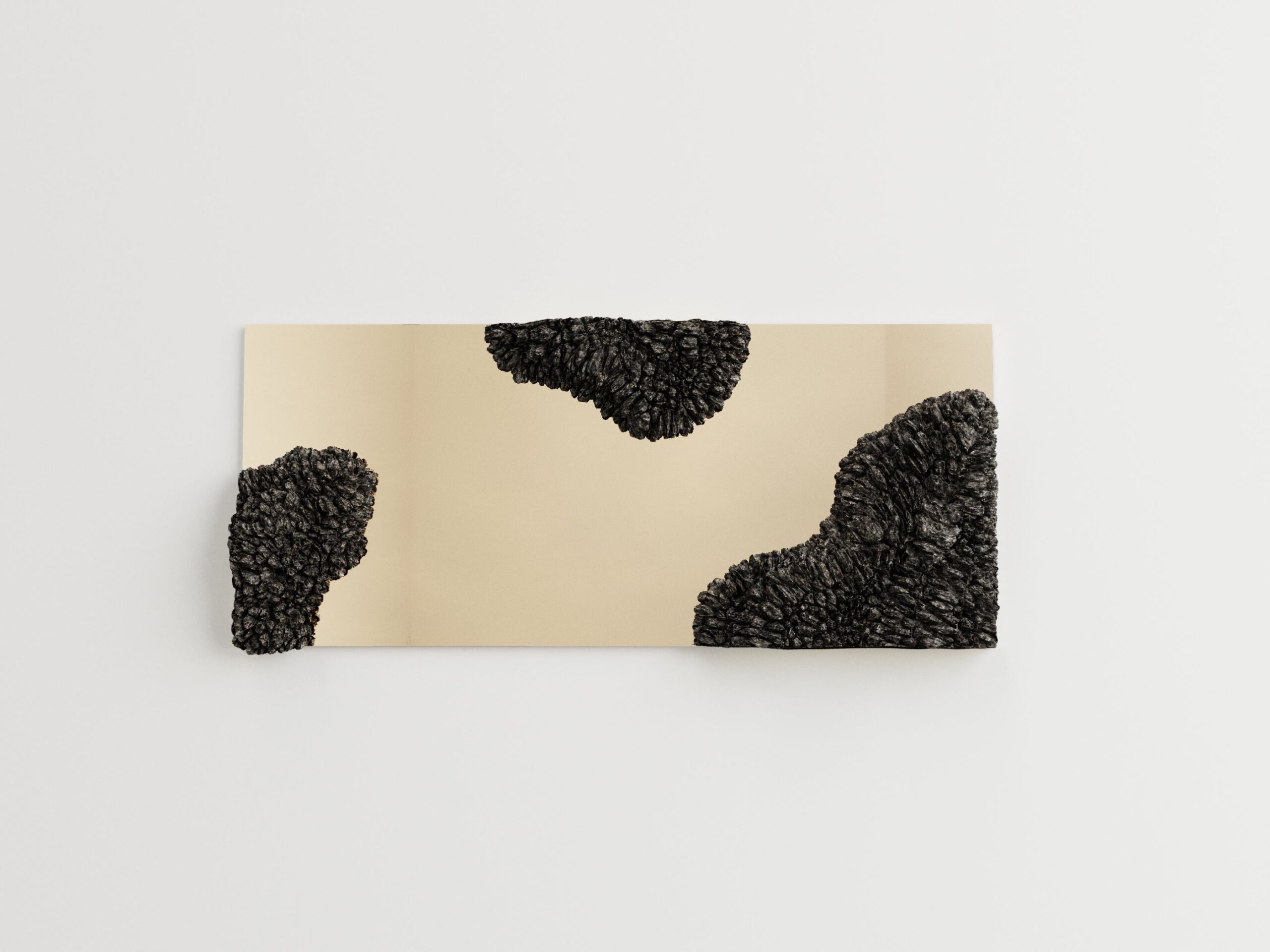 WL Mirror by Tipstudio 4
