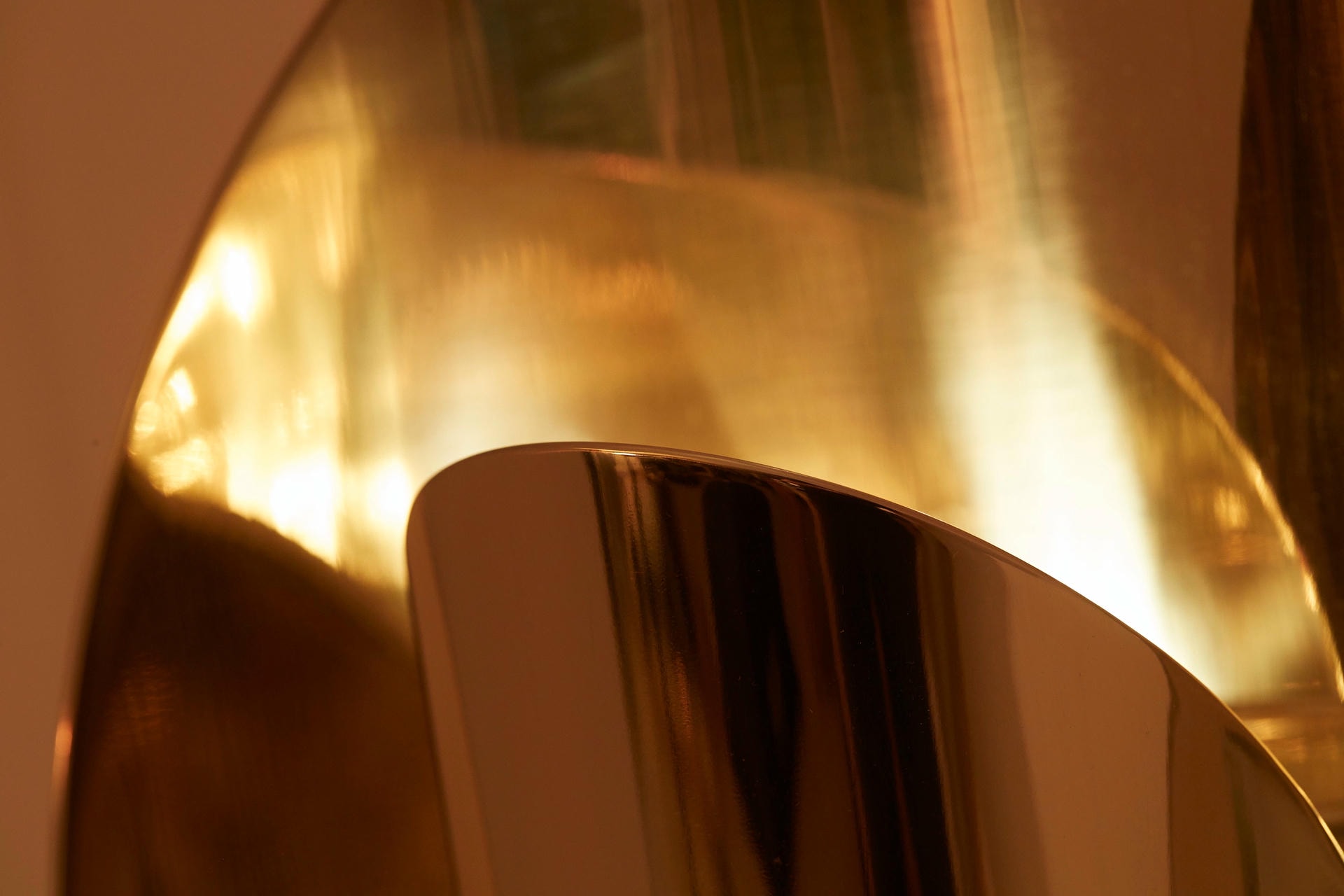 Petale Wall Lamp by Jennifer Midoz 3