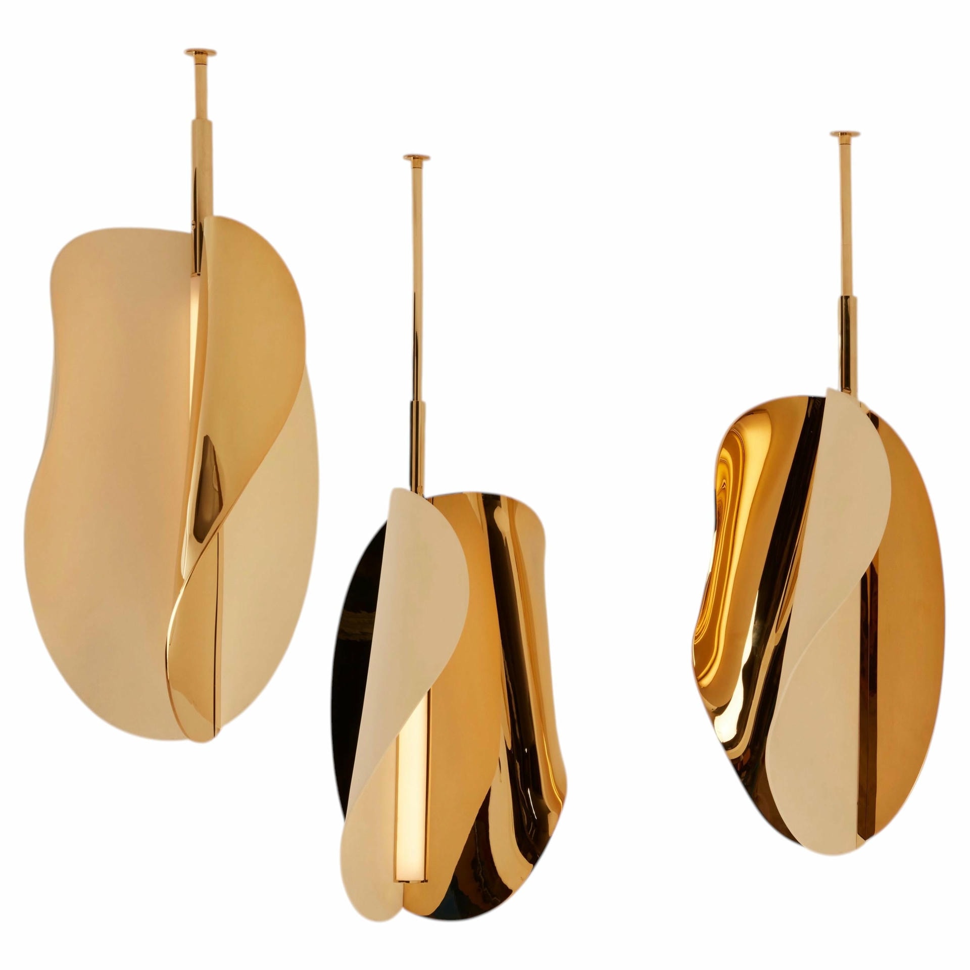 Set of 3 Corolle Pendant Light by Jennifer Midoz 1