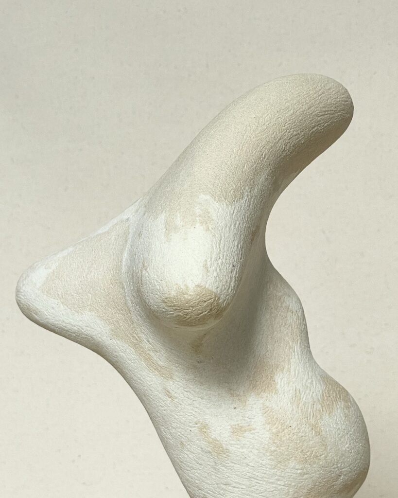 Zeynep Boyan 4