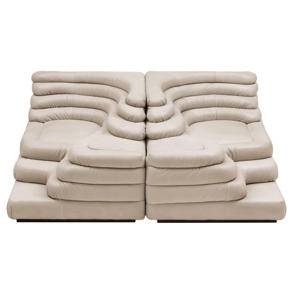 DS 1025 Set of 2 Modern Sofas by De Sede Leather Beech Switzerland 1