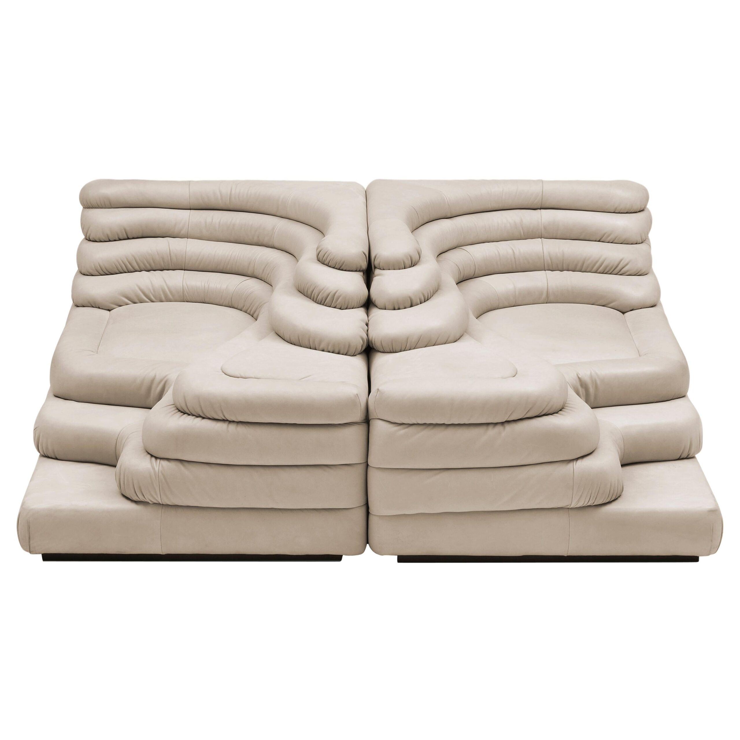 DS 1025 Set of 2 Modern Sofas by De Sede Leather Beech Switzerland 1