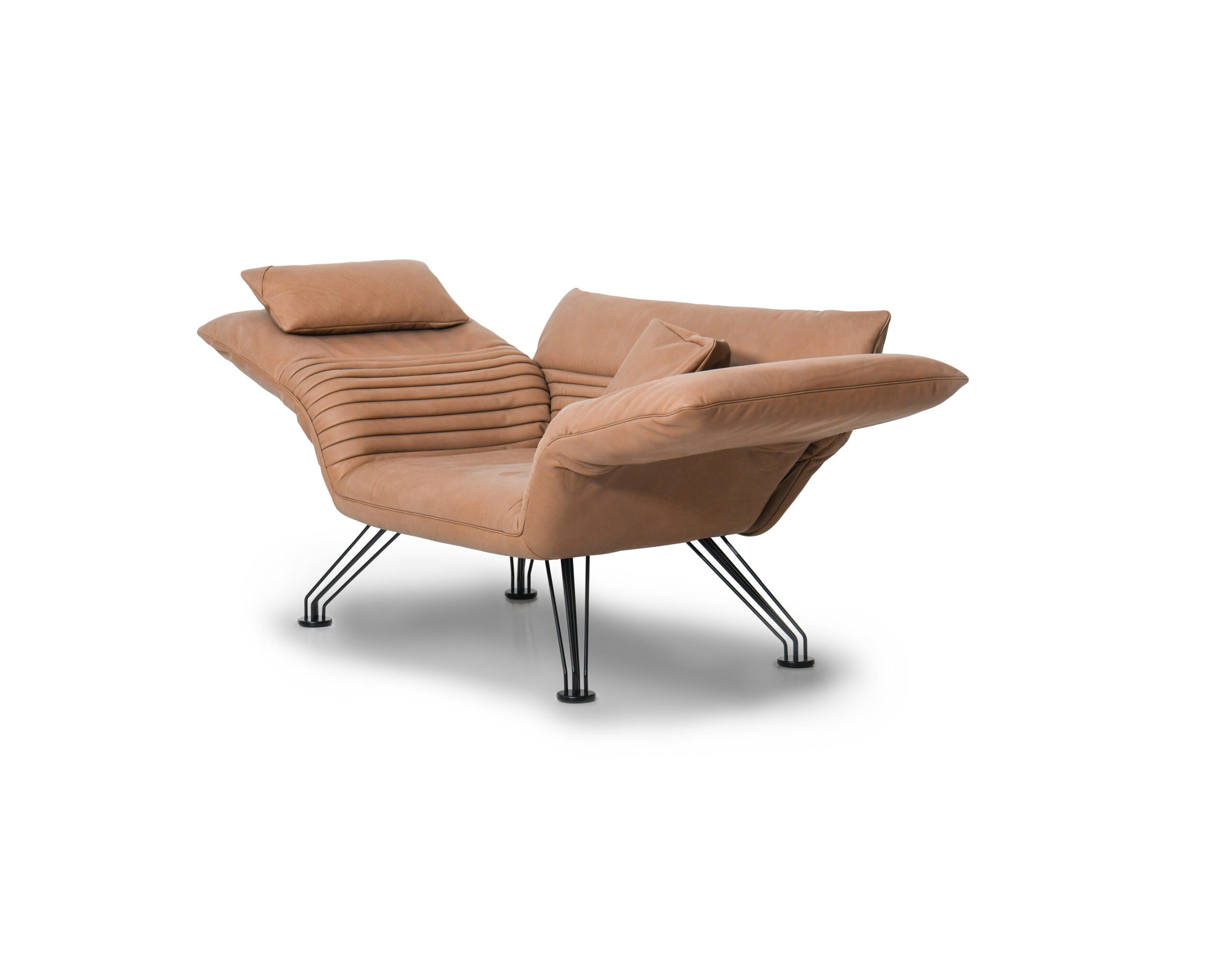 Set of DS 142 Multifunctional Lounge Chair with Cushions by De Sede 2