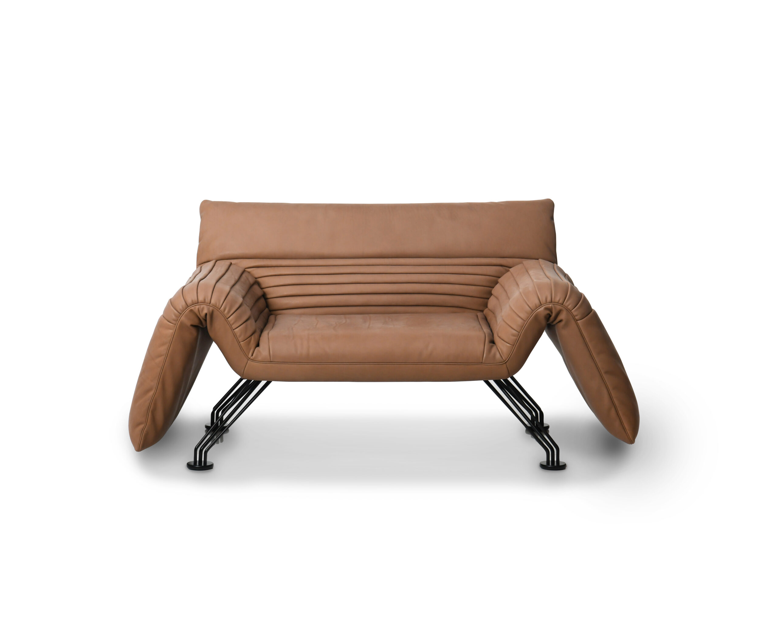 Set of DS 142 Multifunctional Lounge Chair with Cushions by De Sede 4