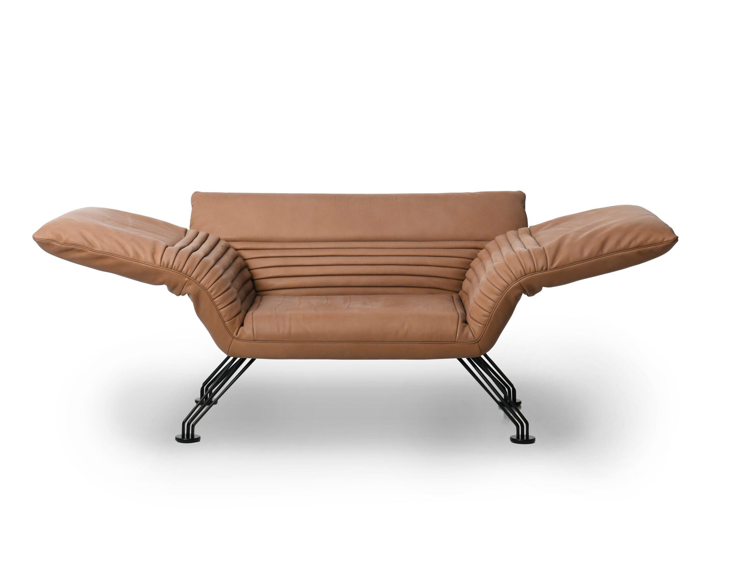 Set of DS 142 Multifunctional Lounge Chair with Cushions by De Sede 5