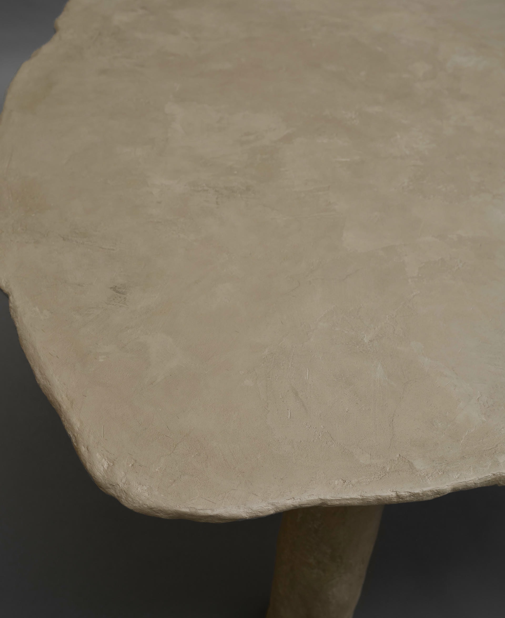 Slab Dining Table by Ombia 6