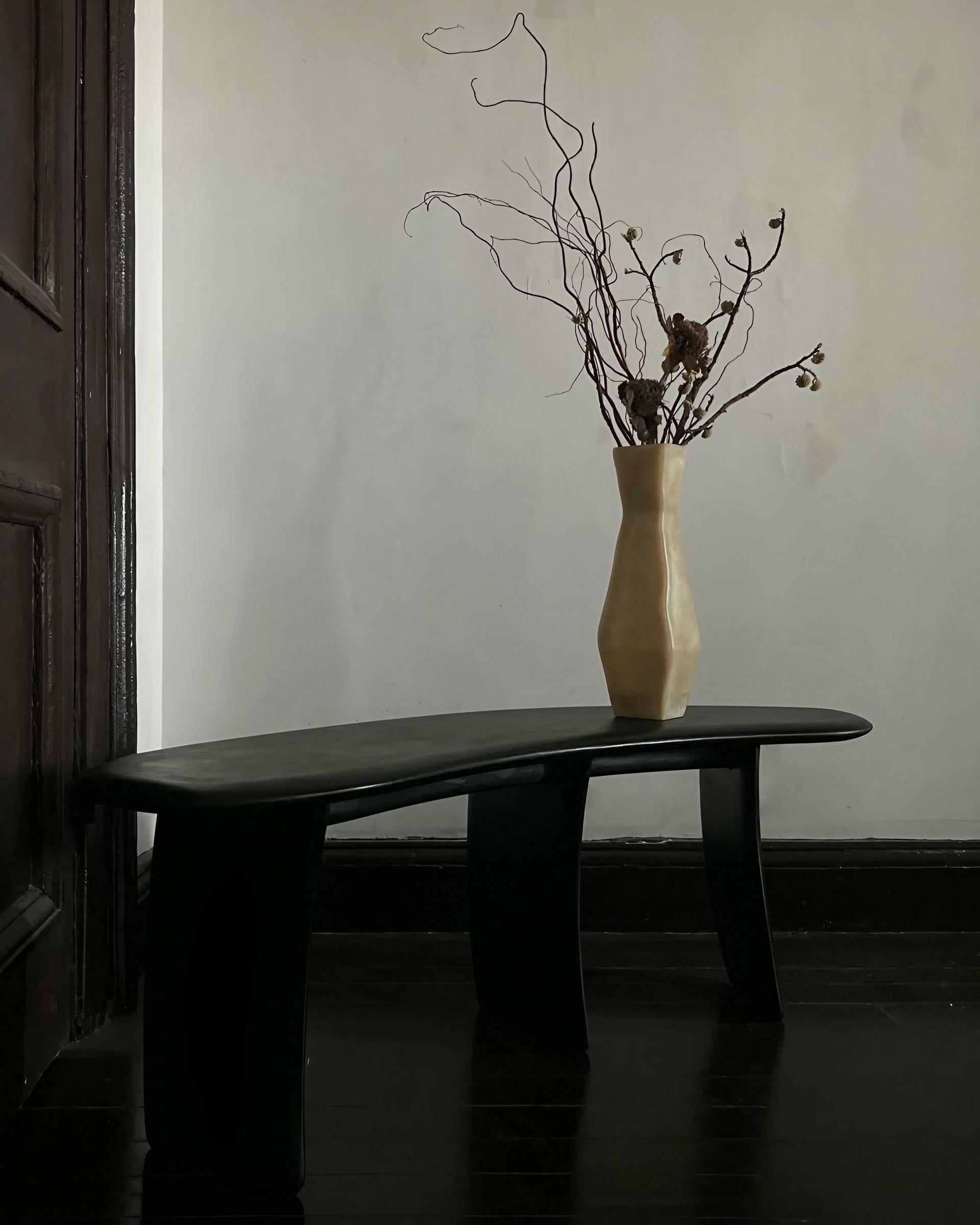 Contemporary Design High Lacquered Black Ash Wood Bench by kar 13
