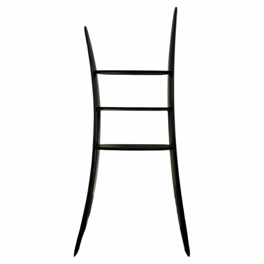 Contemporary High Lacquered Black Organic Ash Wood Shelf by kar 1