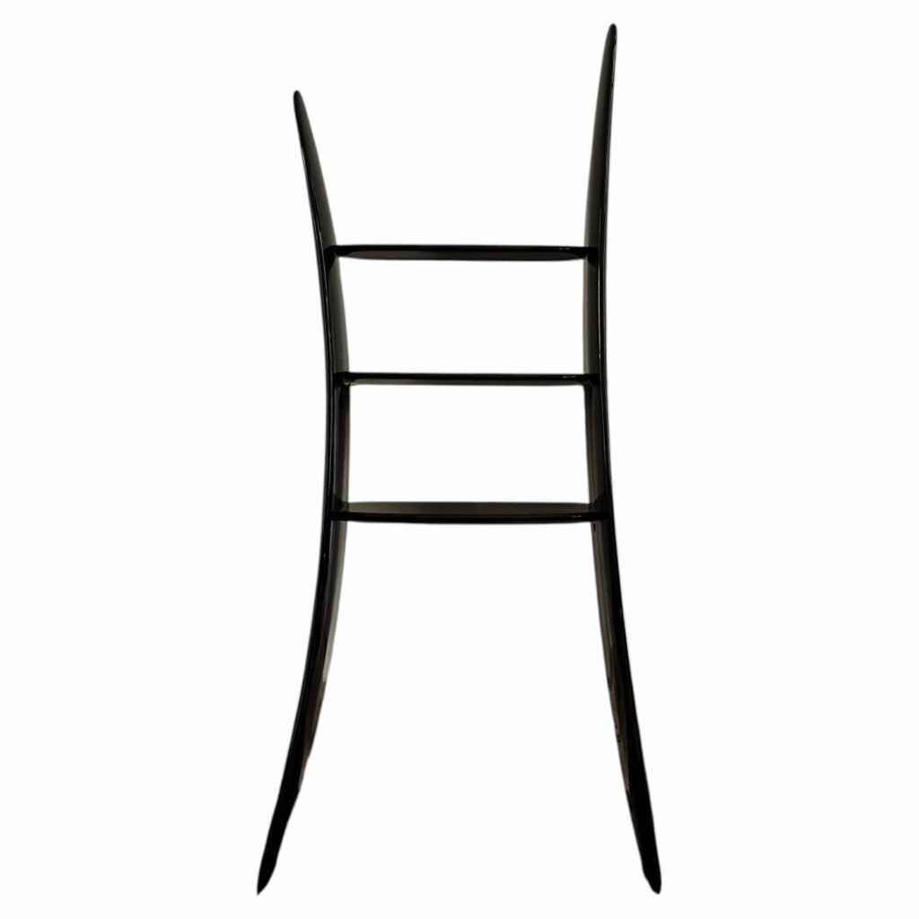 Contemporary High Lacquered Black Organic Ash Wood Shelf by kar 1