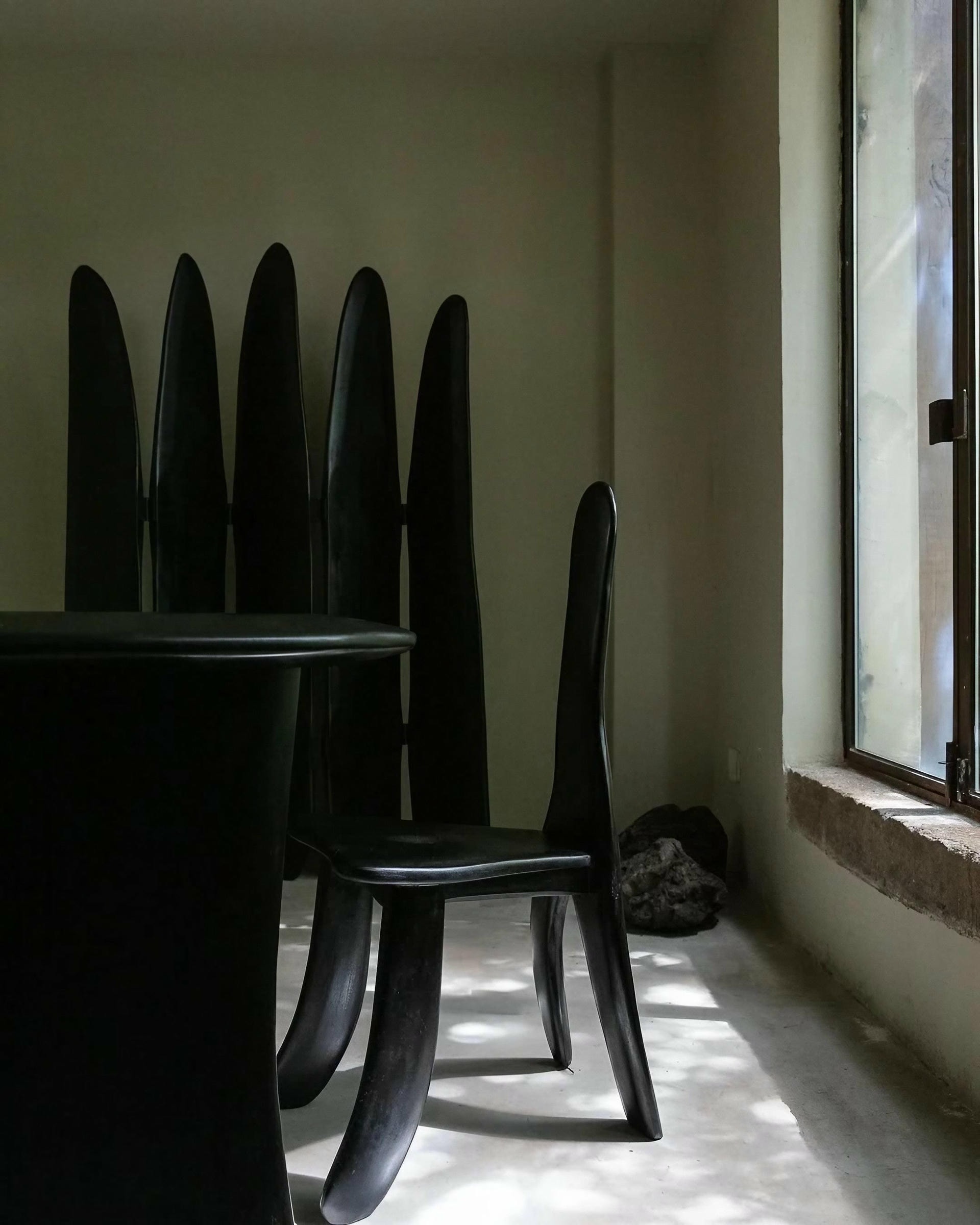 Fence Like Structure Contemporary High Lacquered Black Ash Wood Screen by kar 16