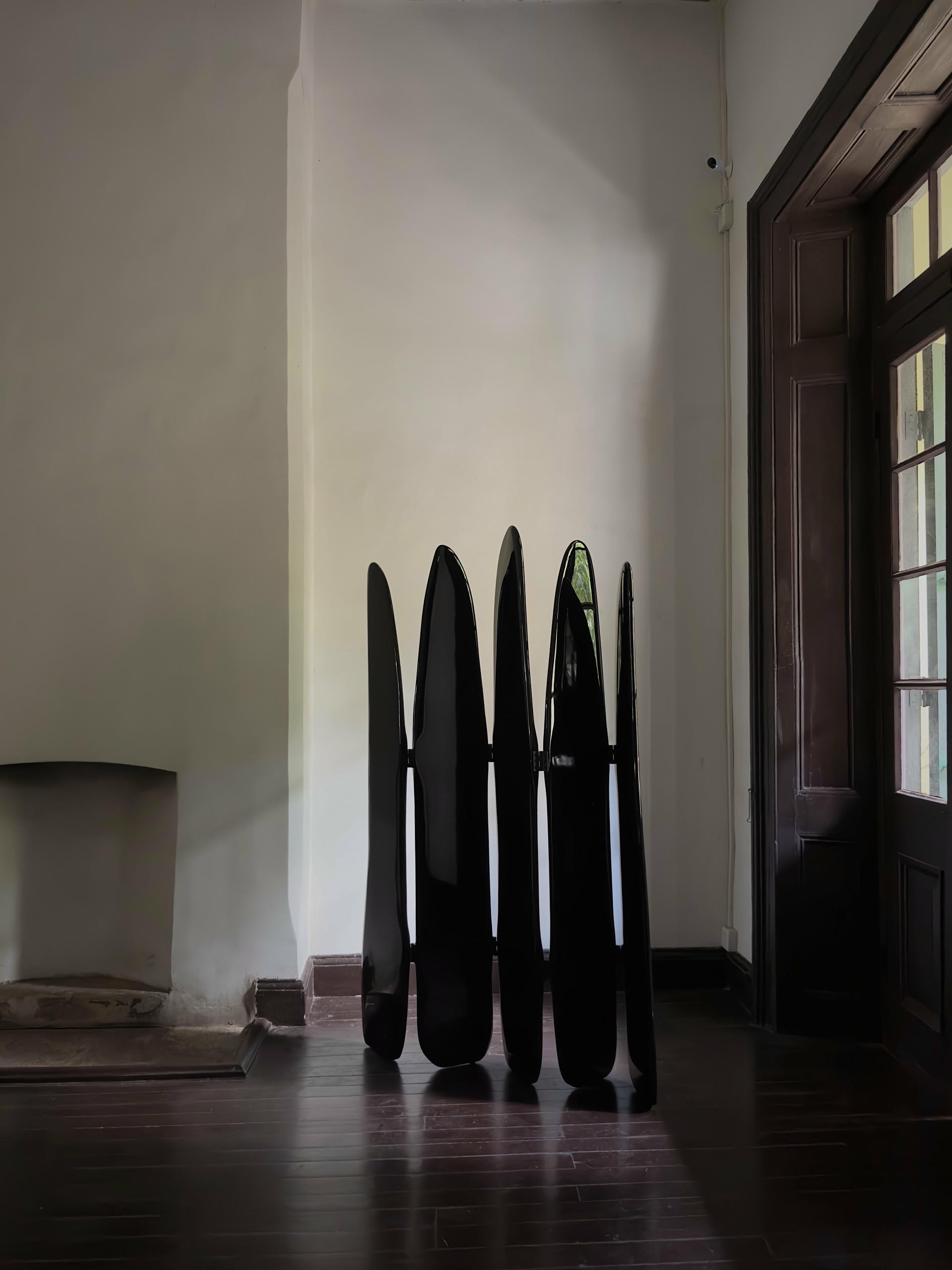 Fence Like Structure Contemporary High Lacquered Black Ash Wood Screen by kar 2