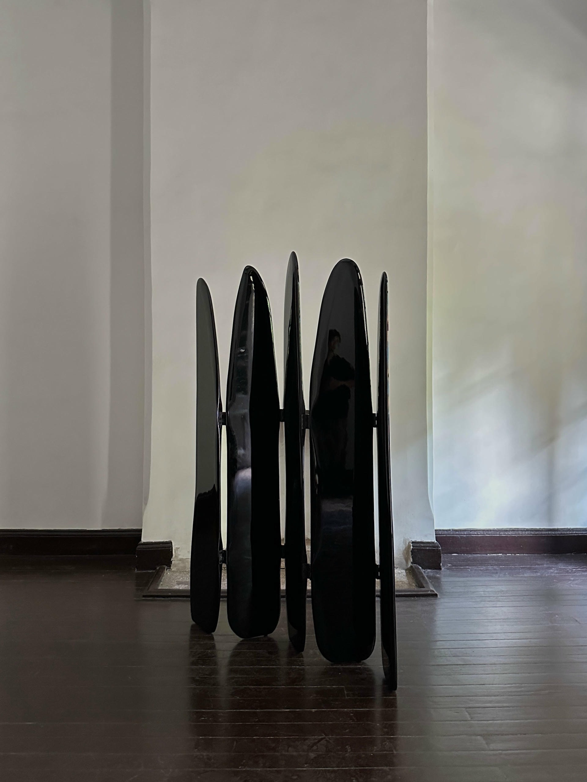 Fence Like Structure Contemporary High Lacquered Black Ash Wood Screen by kar 3