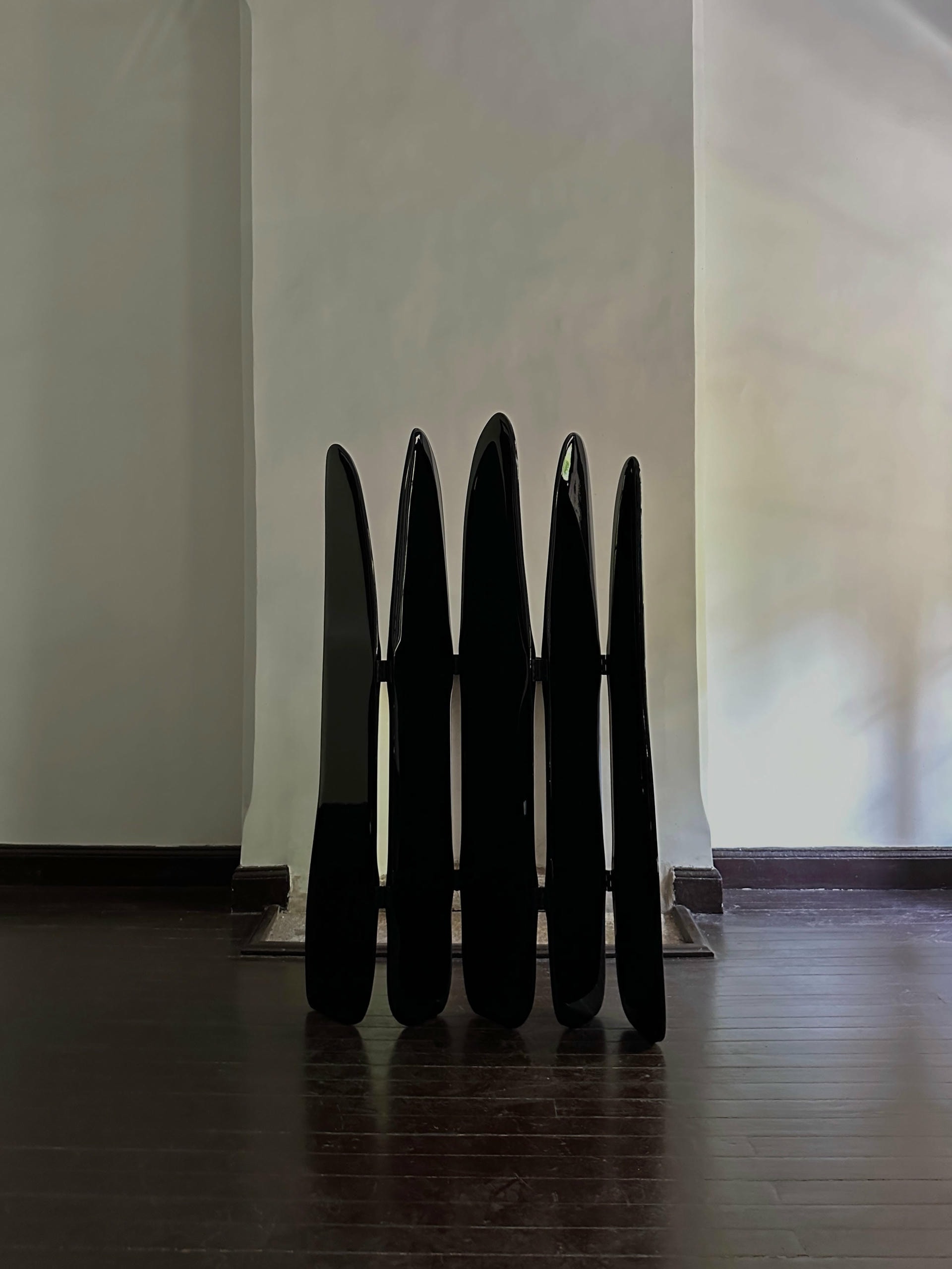 Fence Like Structure Contemporary High Lacquered Black Ash Wood Screen by kar 4