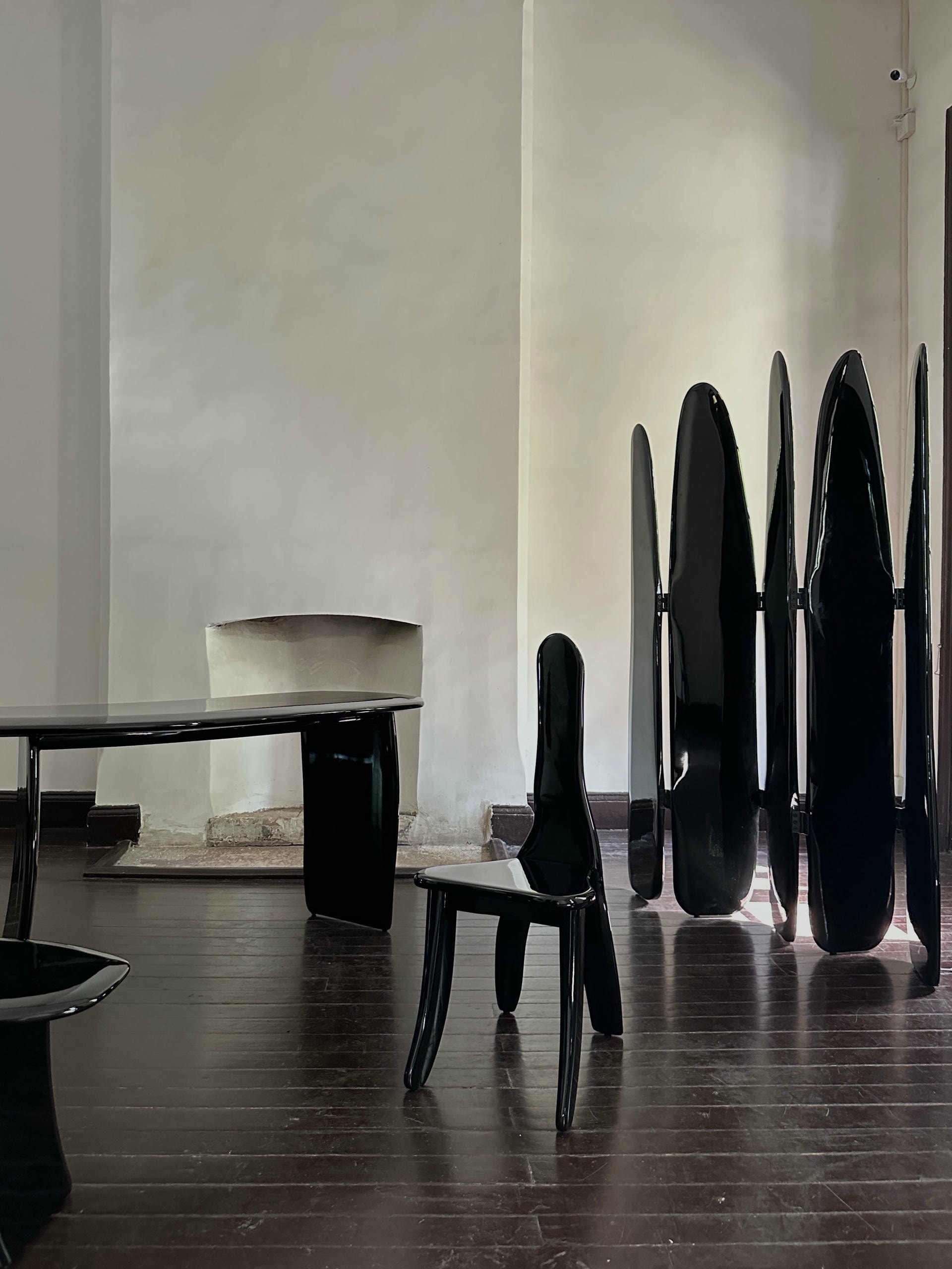 Fence Like Structure Contemporary High Lacquered Black Ash Wood Screen by kar 5