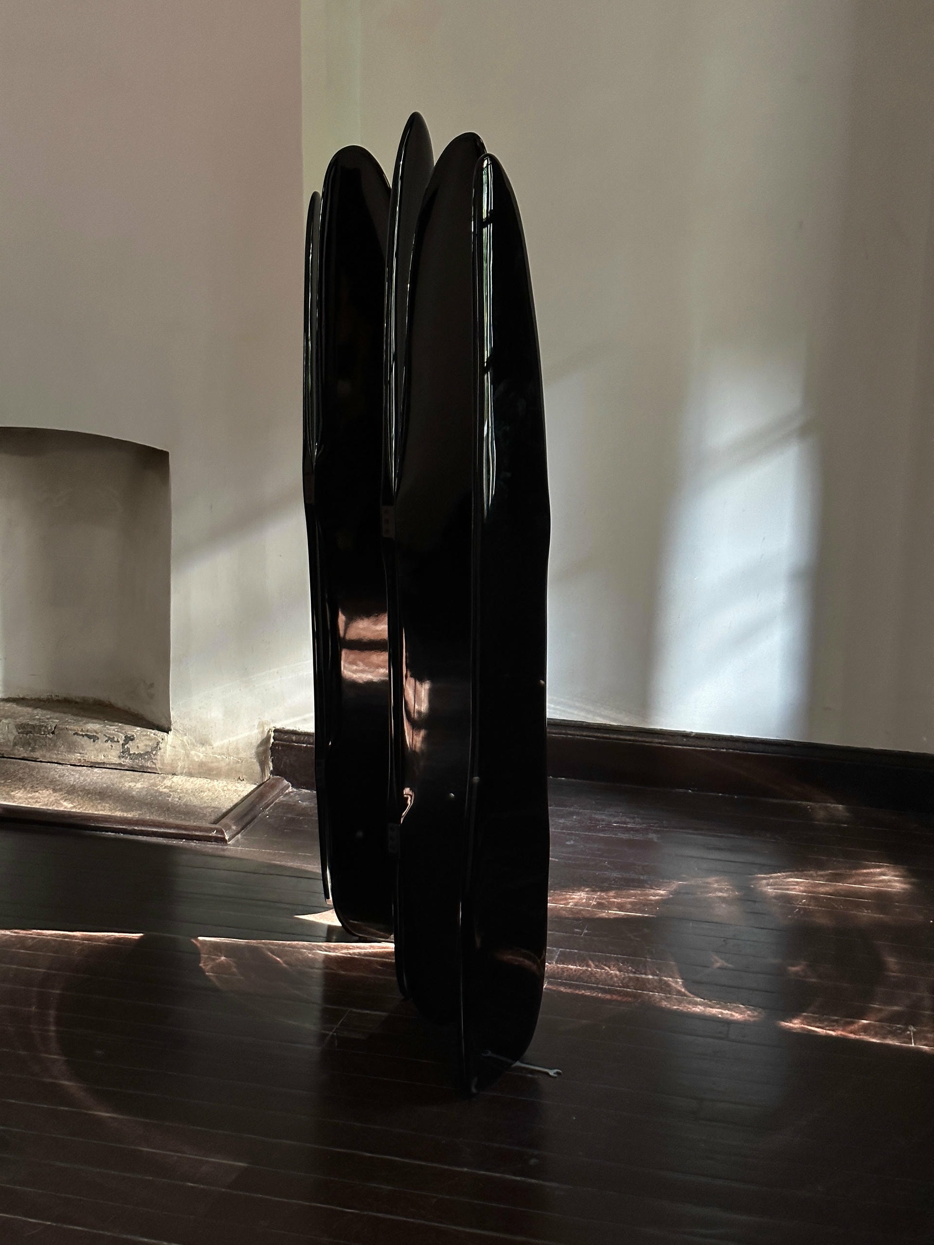 Fence Like Structure Contemporary High Lacquered Black Ash Wood Screen by kar 8