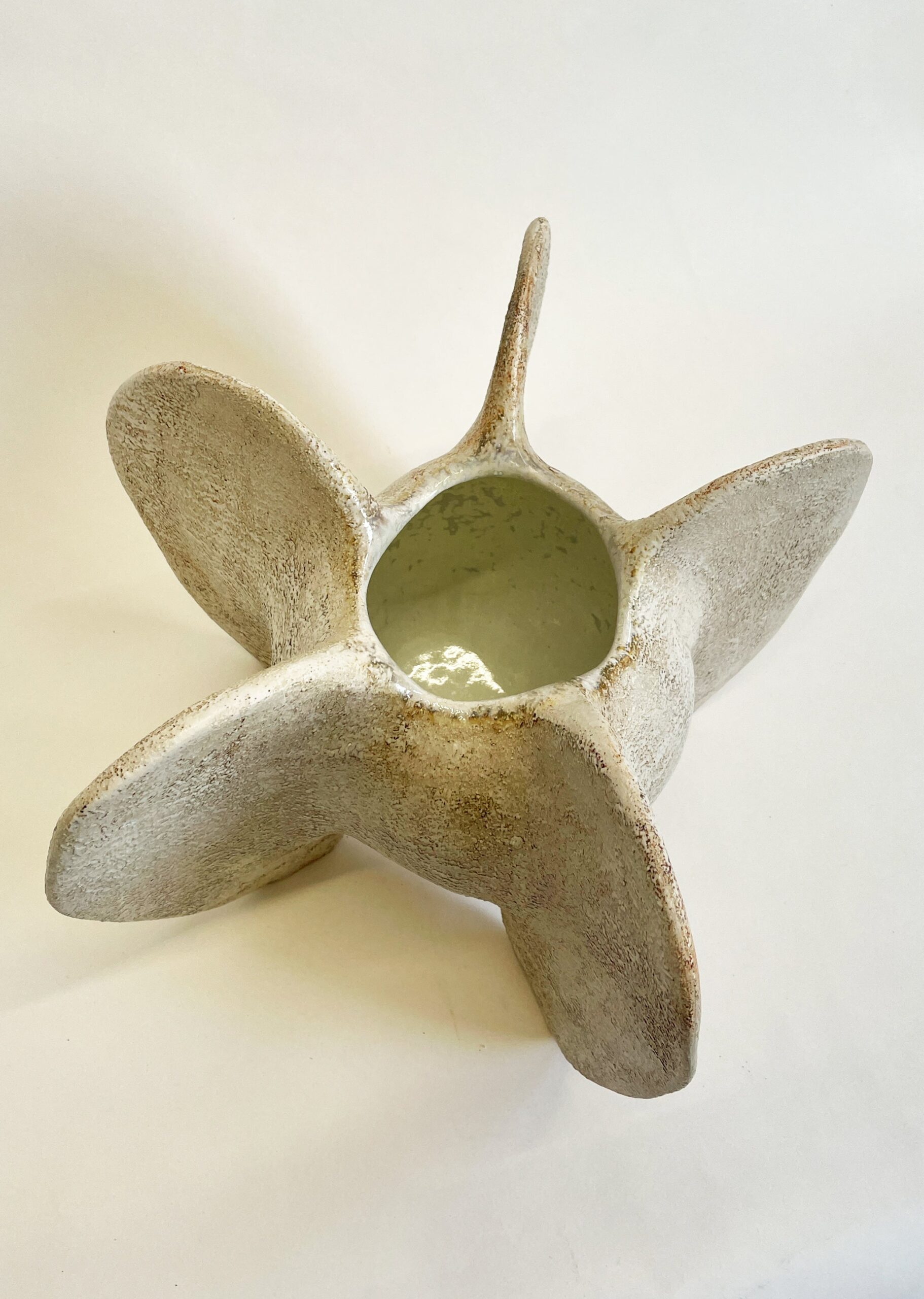 Ivory Pentacle IX by Julie Nelson 10