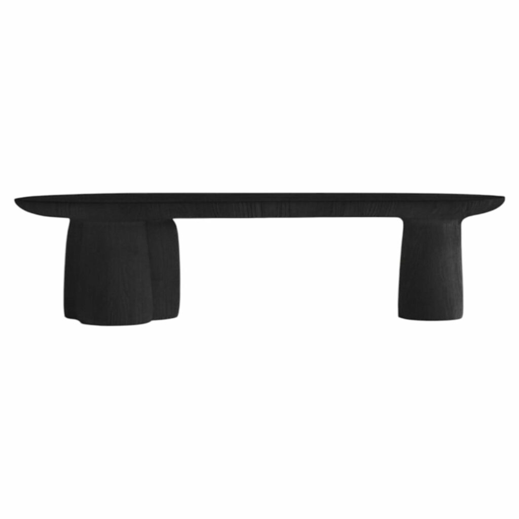 Long Black Coffee Table by Faina 1