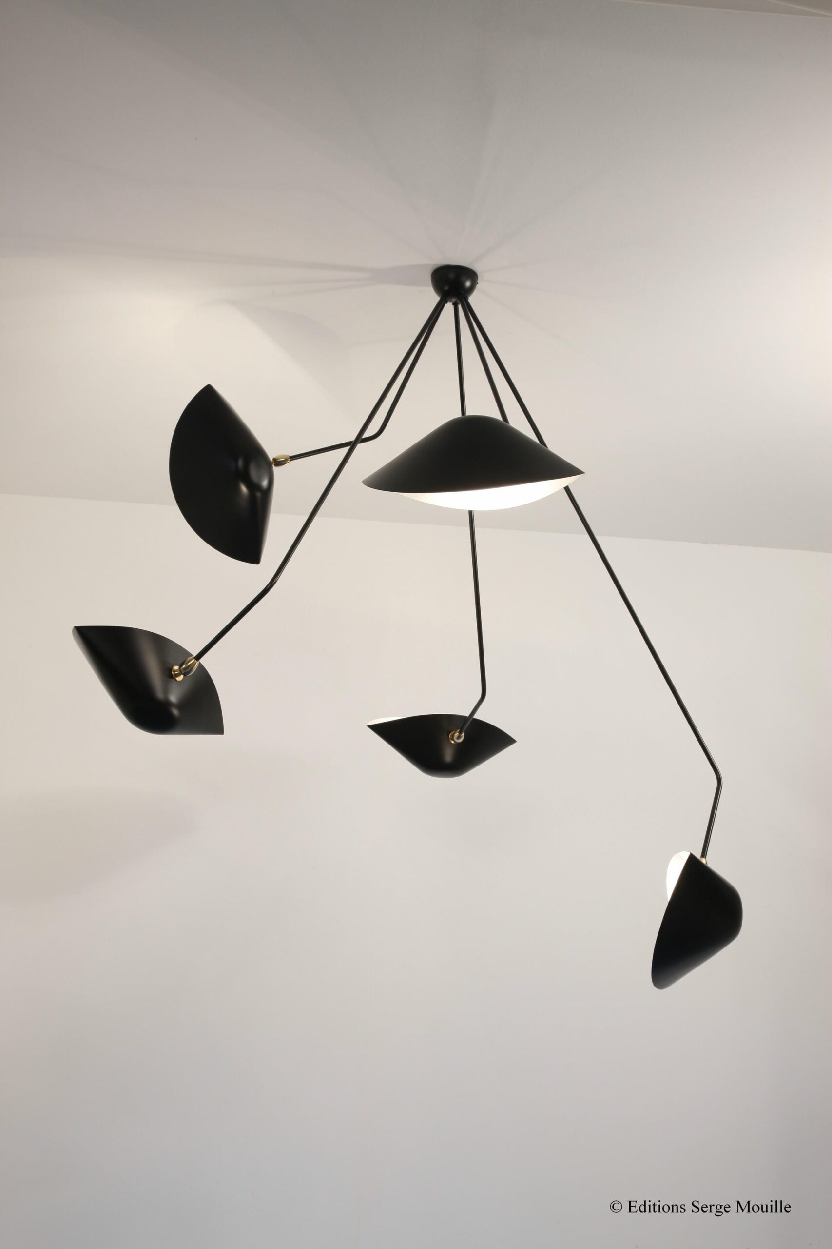 Ceiling Lamp 6 Rotating Arms by Serge Mouille 7
