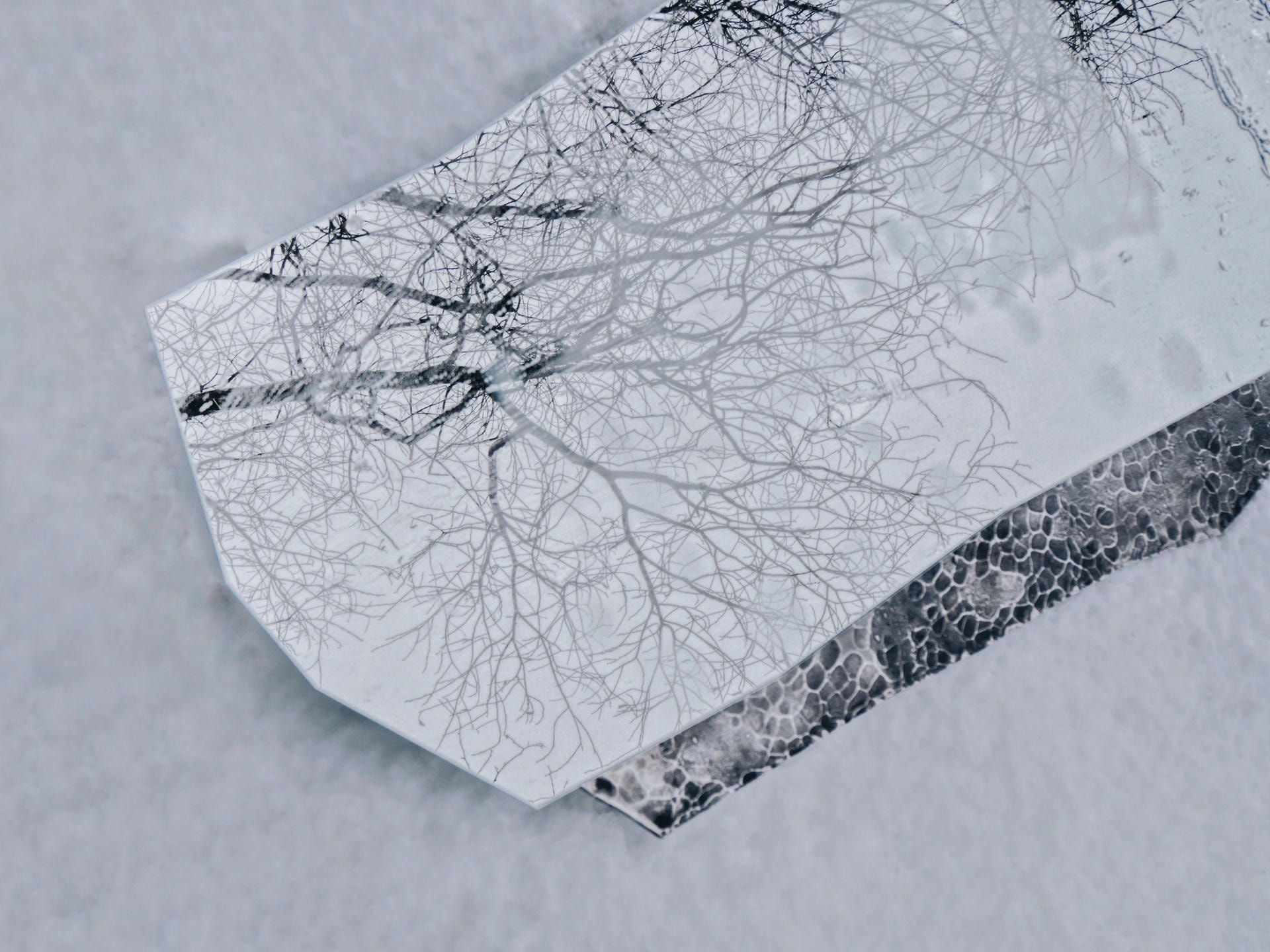 Fragment Wall Mirror by ROCHE FRERES 5