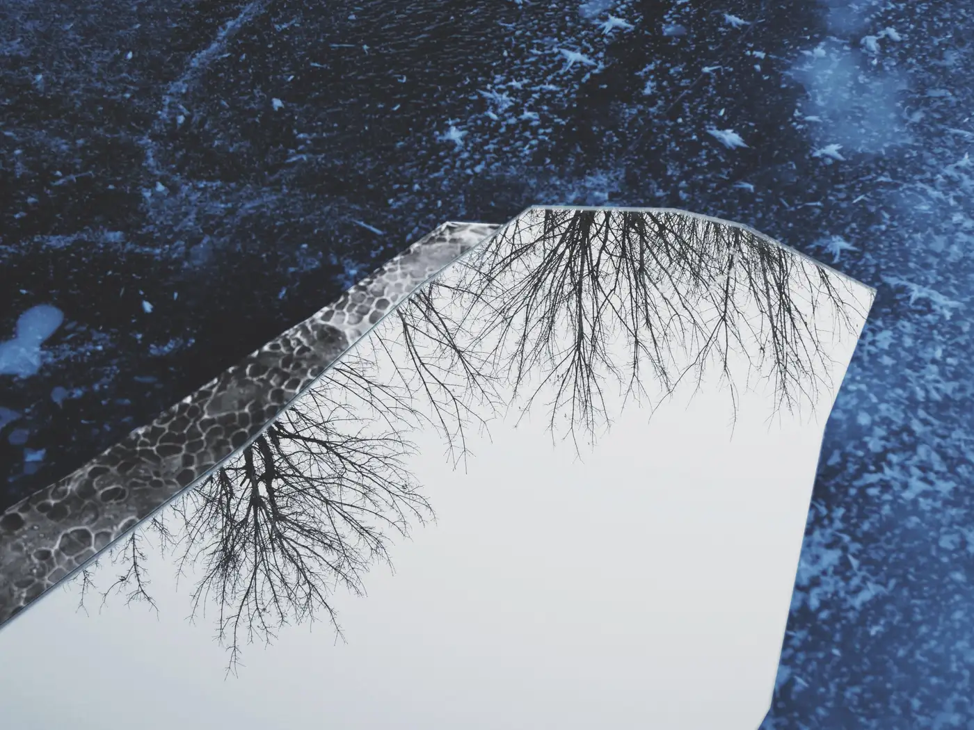 Fragment Wall Mirror by ROCHE FRRES 9