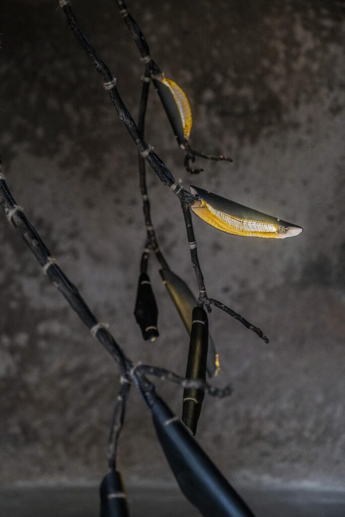 morghen branch chandelier galerie philia 02