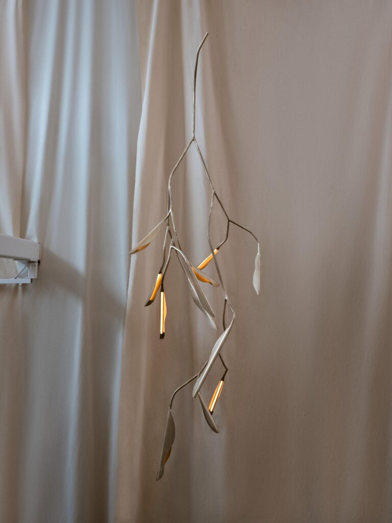 morghen dafne galerie philia 02