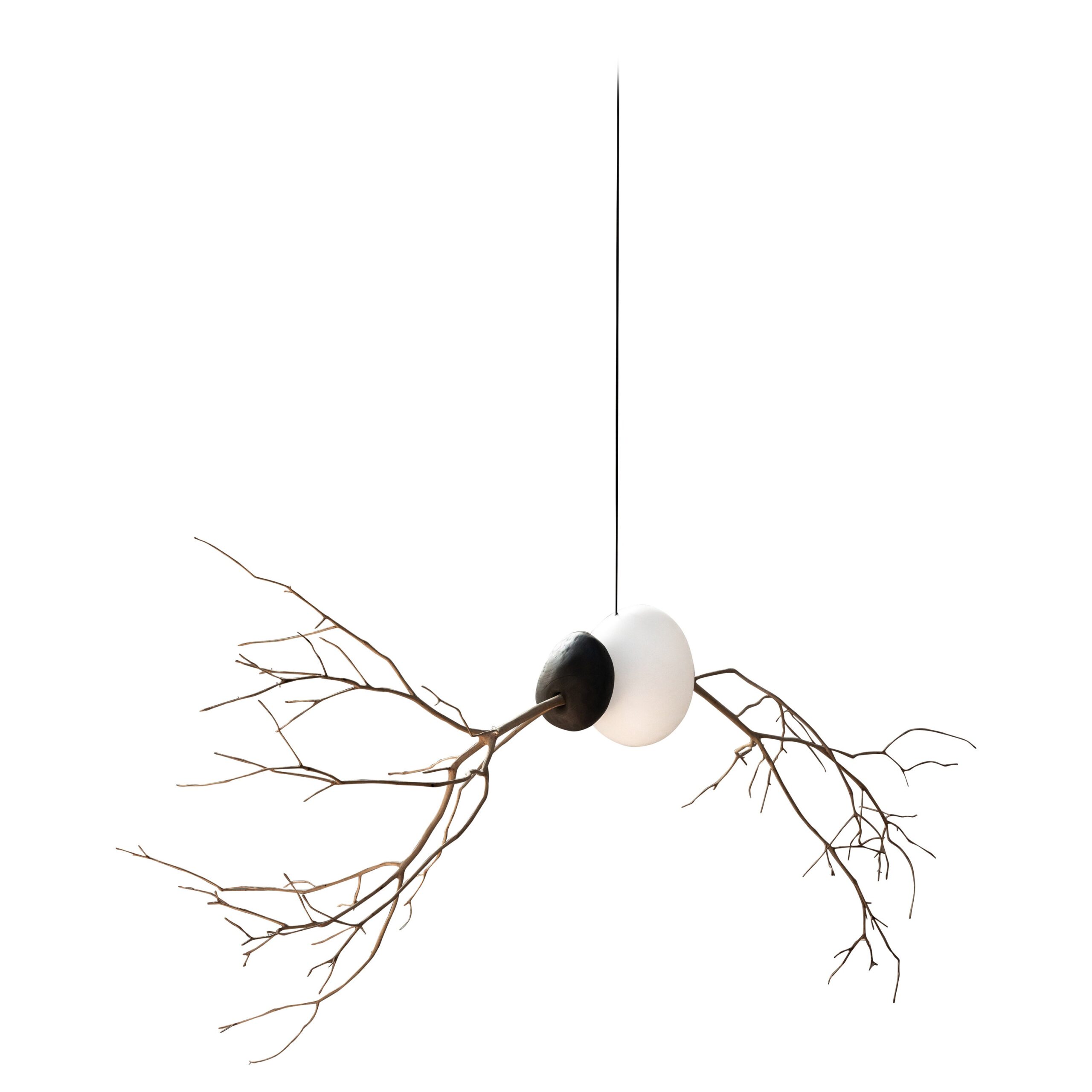 Contemporary Art Floating Seed Branching Suspension Lamp by Jérôme Pereira 1