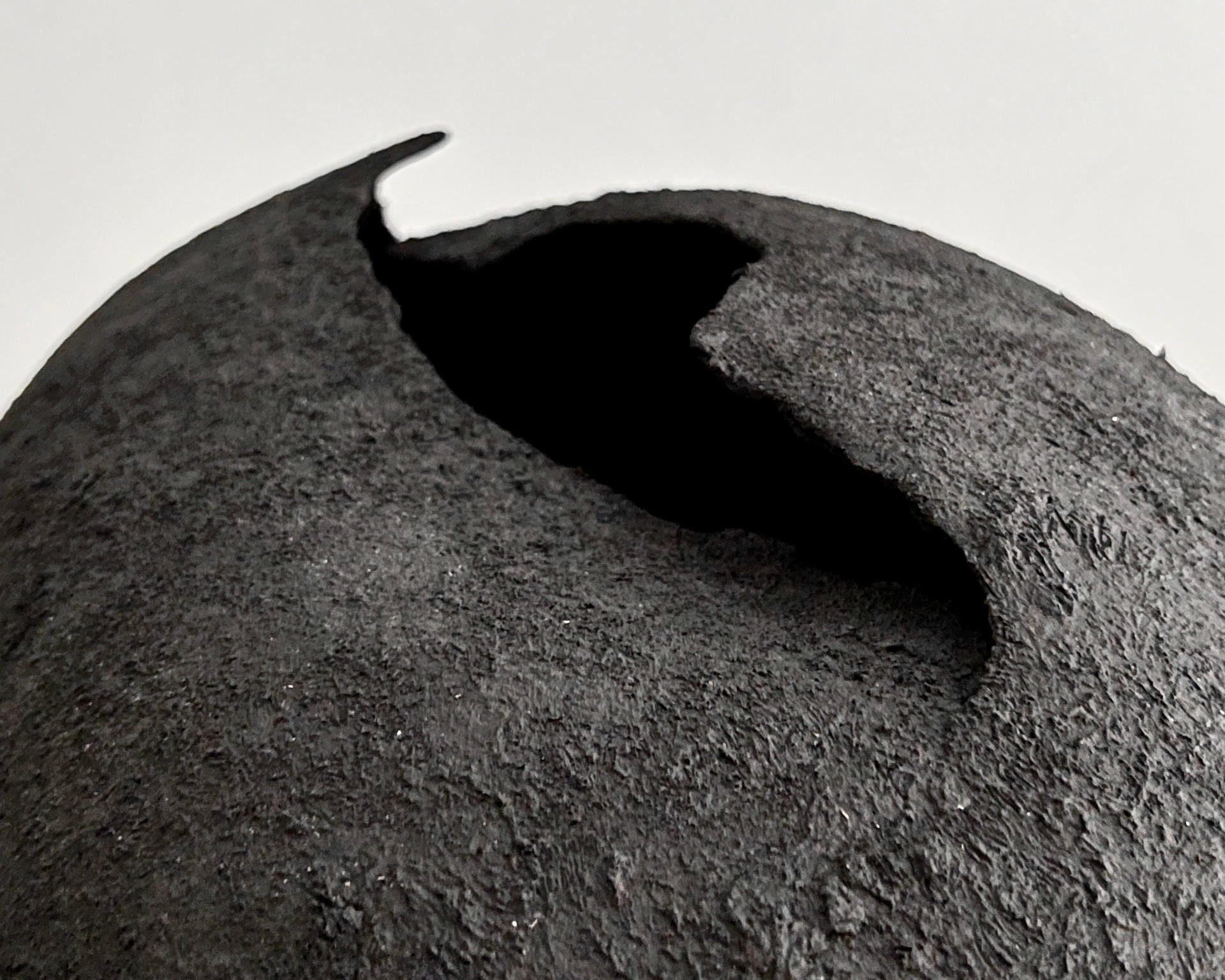Dove Sculpture by Laura Pasquino 5