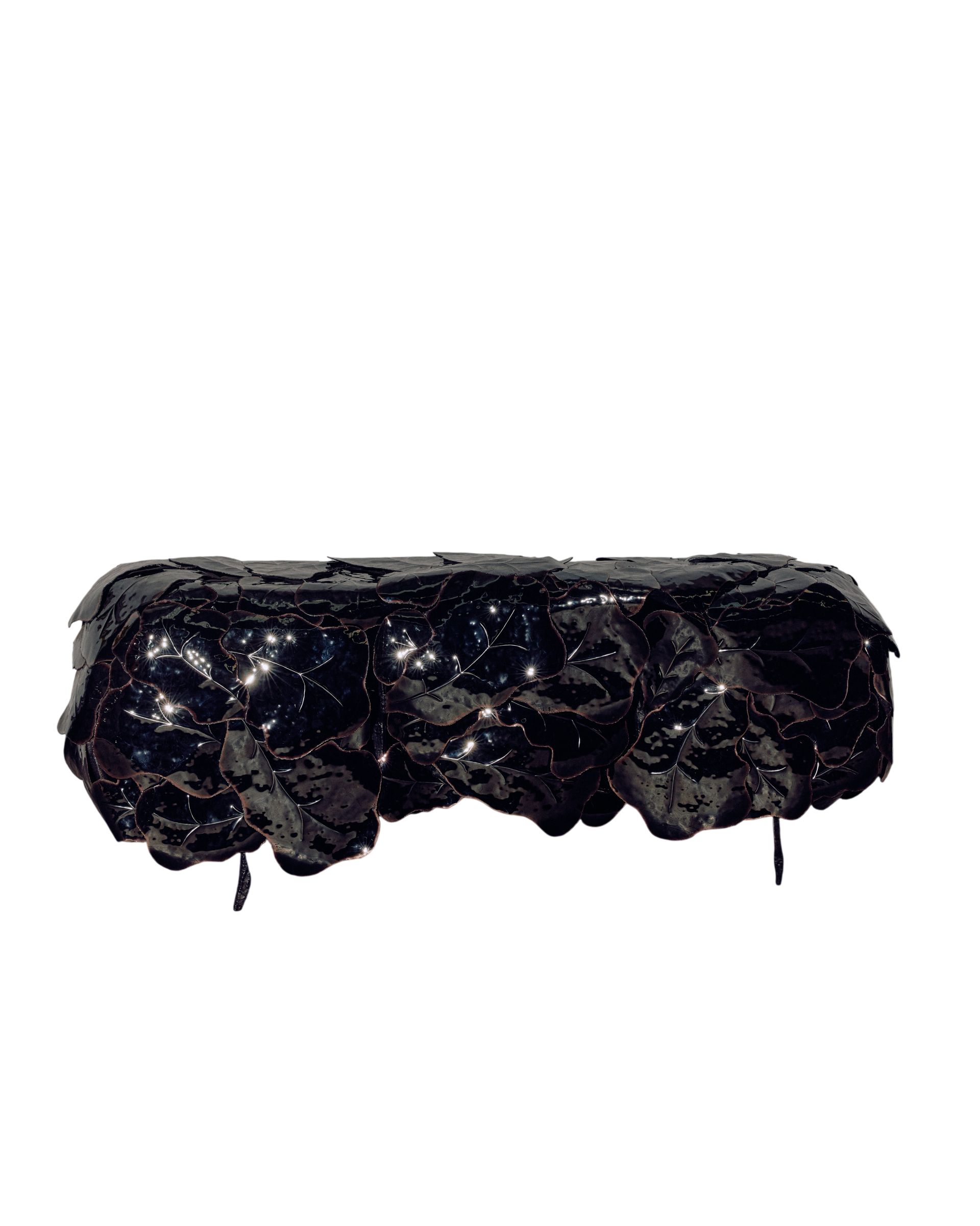 Black Narcissus Cabinet by Michael Gittings 7