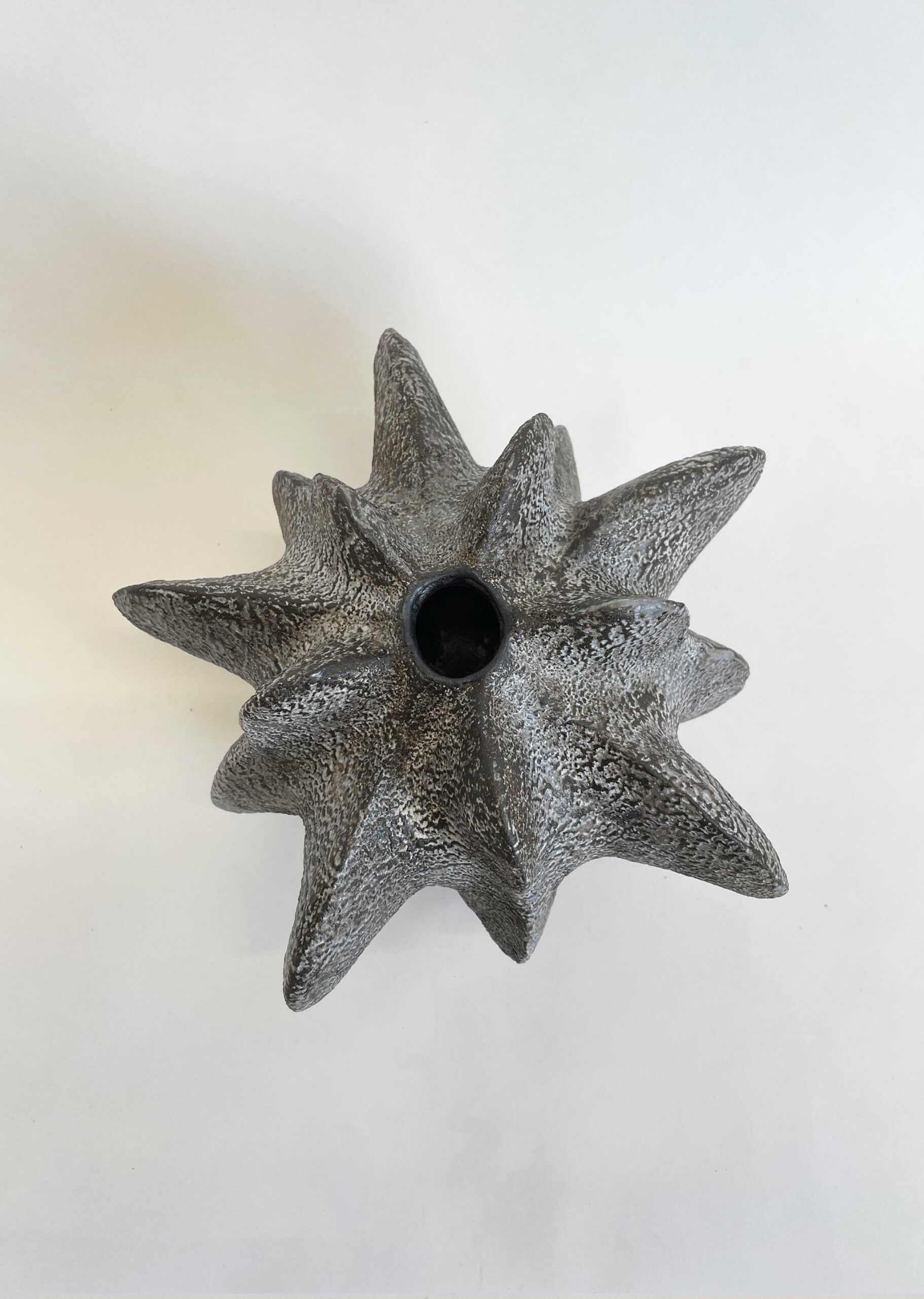 Charcoal Petal Gourd I by Julie Nelson 2