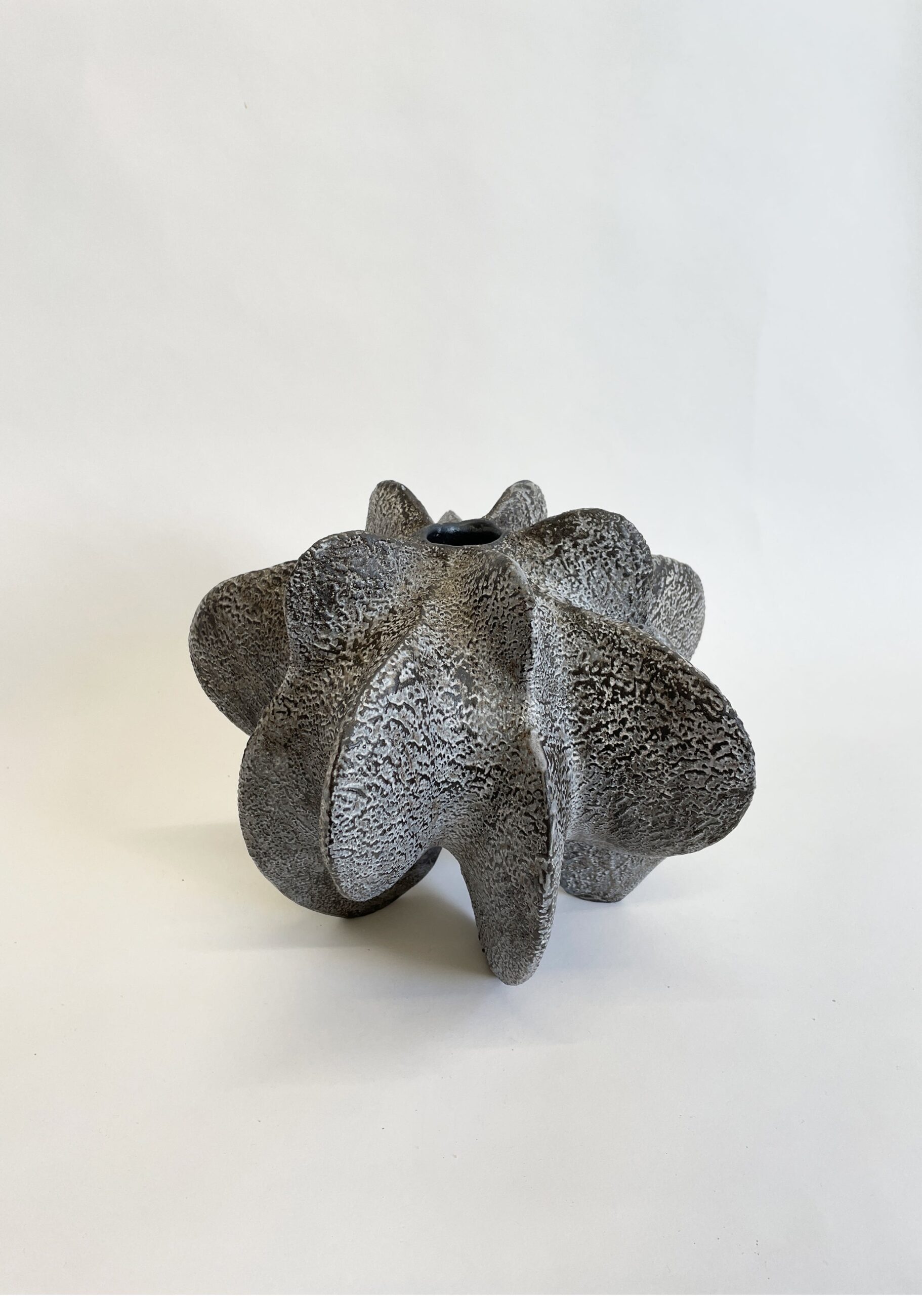 Charcoal Petal Gourd I by Julie Nelson 3