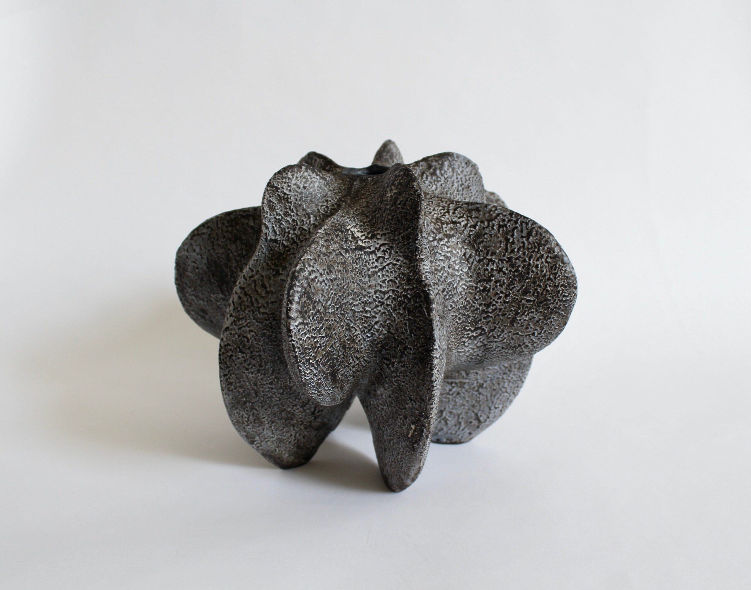 Charcoal Petal Gourd I by Julie Nelson 4