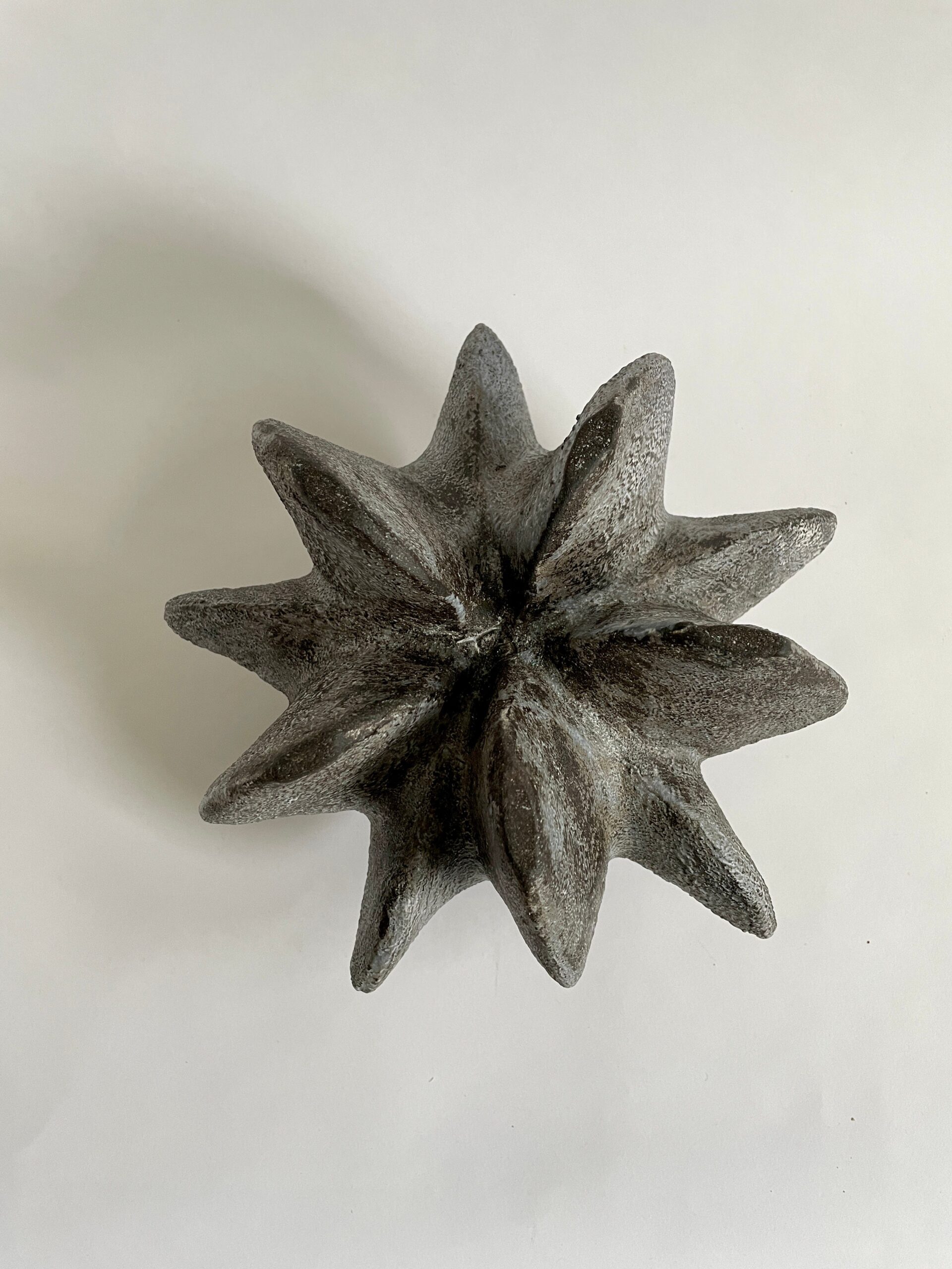 Charcoal Petal Gourd I by Julie Nelson 6