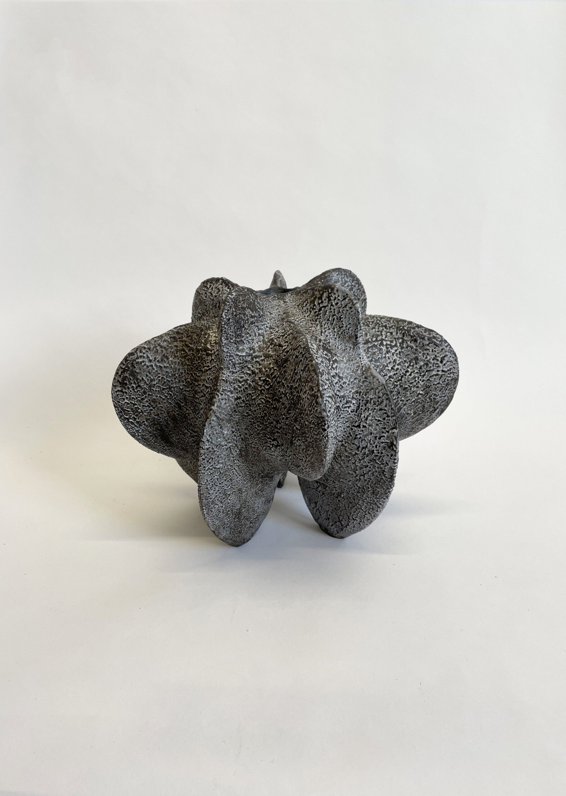 Charcoal Petal Gourd I by Julie Nelson 7