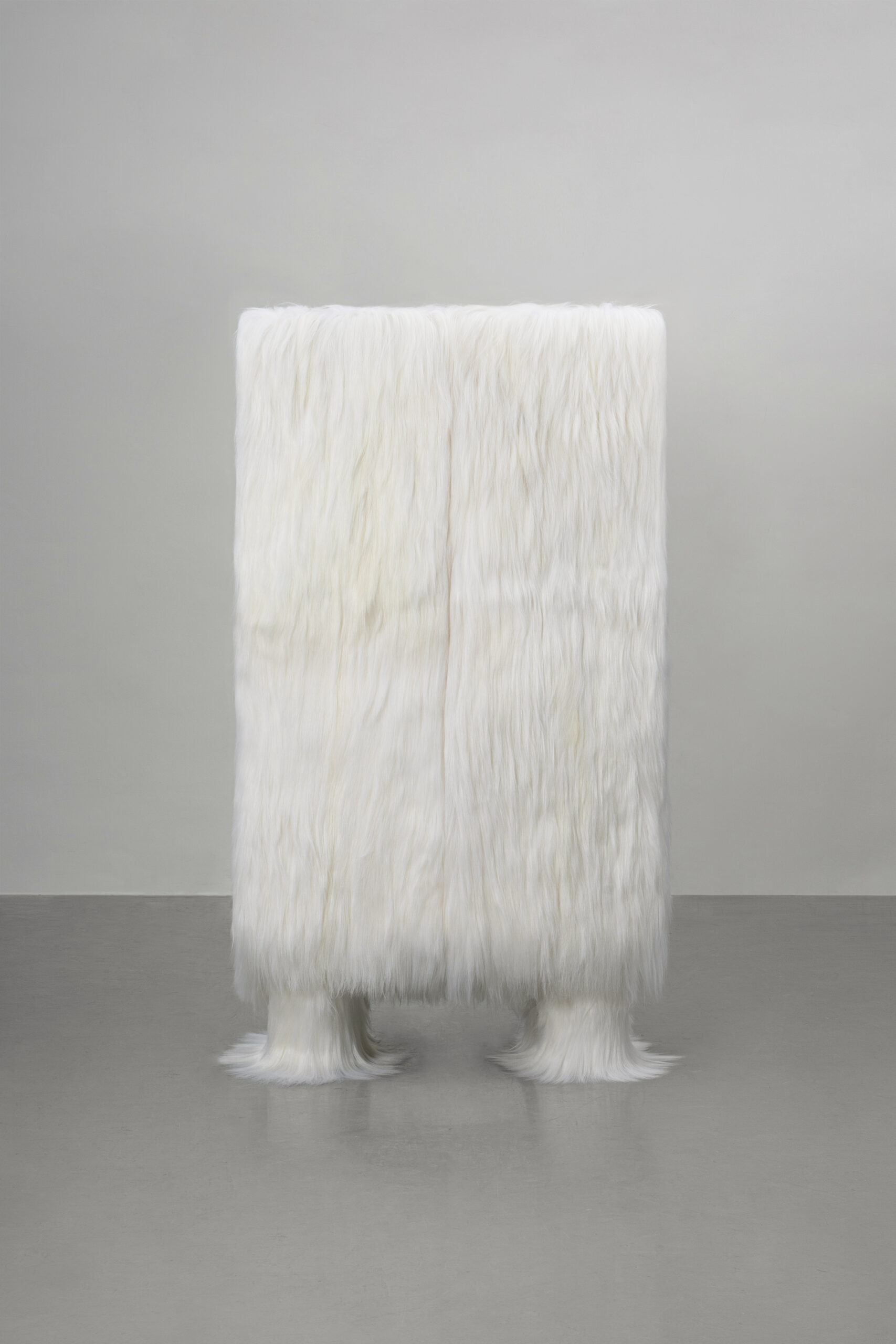 Raw Cabinet by Atelier V&F 4