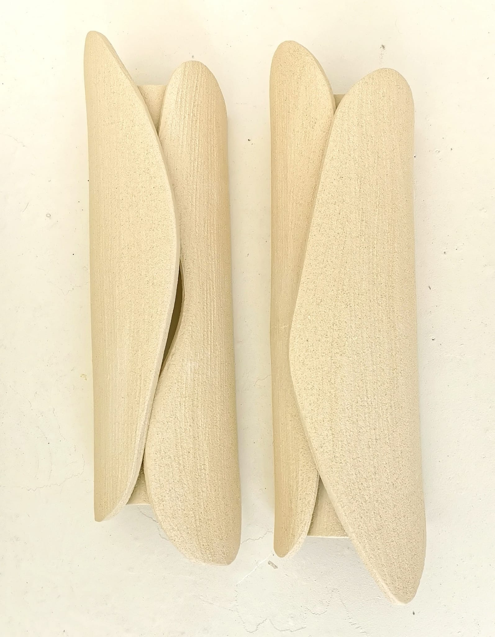 Sconces Palm Wall Lamp by Olivia Cognet 3