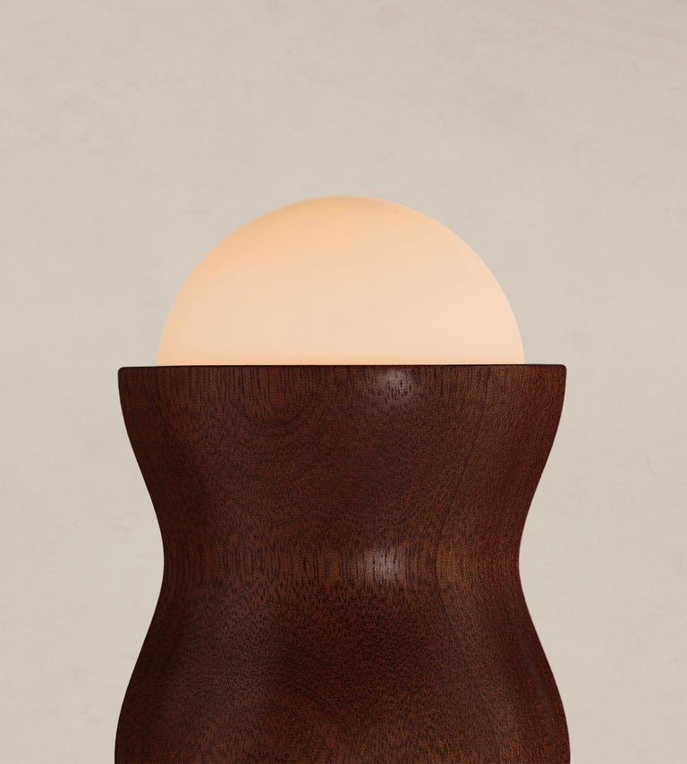Tougarine Table Lamp by Ade Studios 2