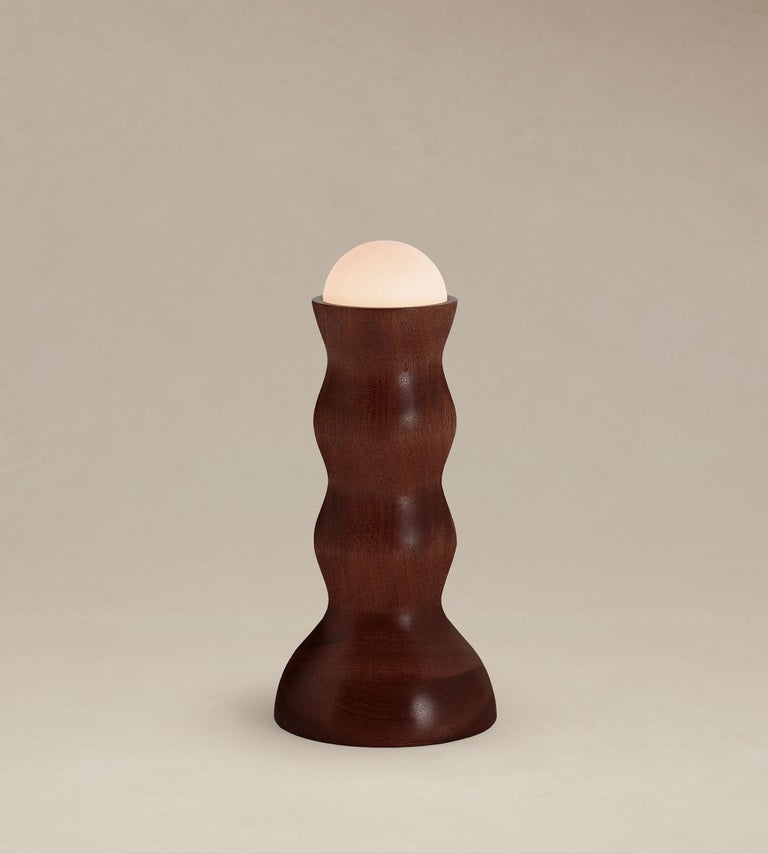 Tougarine Table Lamp by Ade Studios 4
