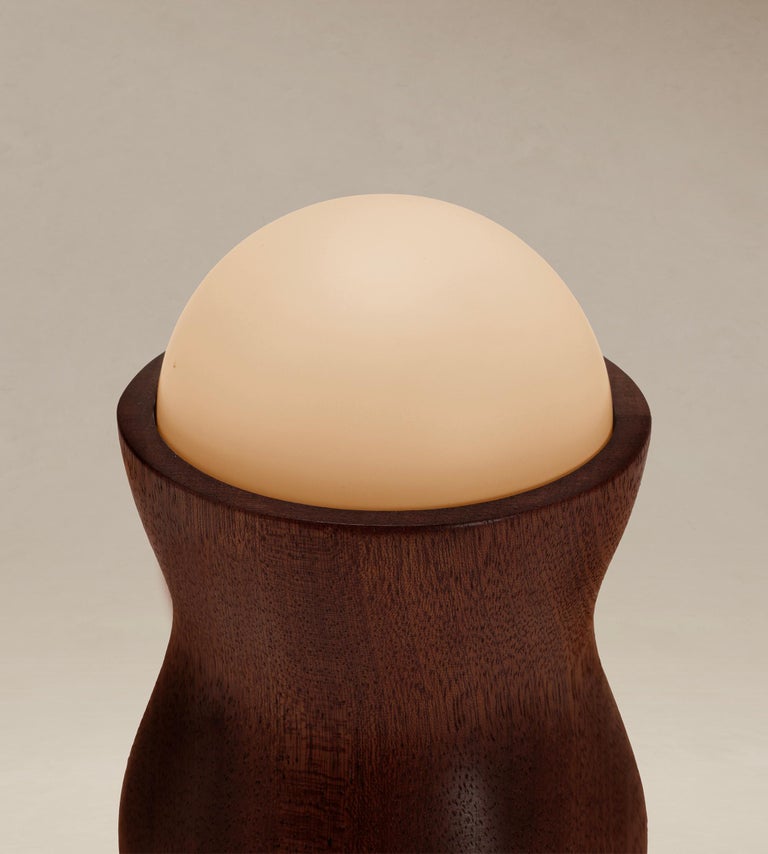 Tougarine Table Lamp by Ade Studios 5