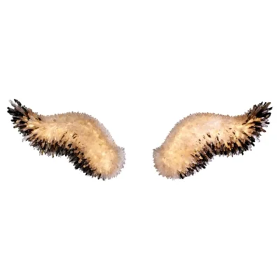 Set of Wings Of Pegasus Sconce by Christopher Boots