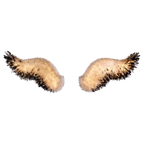 Set of Wings Of Pegasus Sconce by Christopher Boots 1