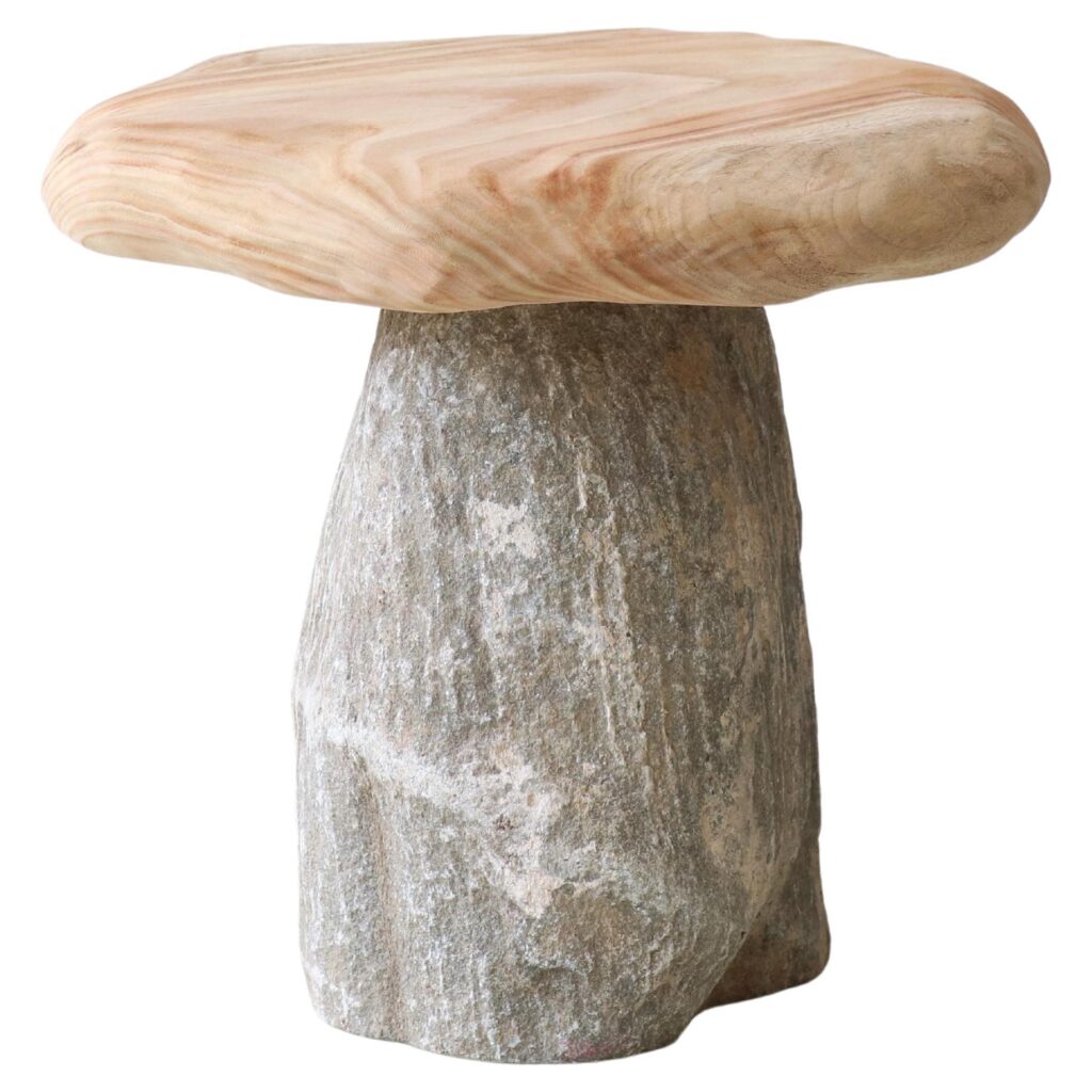 Bolete Side Table by Henry Dath 1