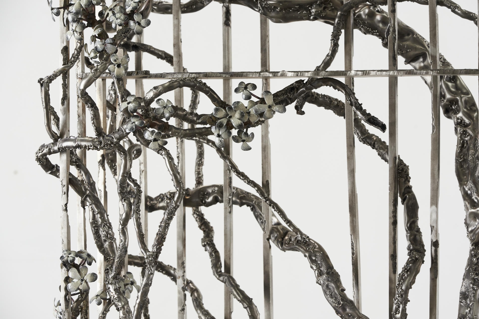 I Found You In The Forest Dreaming Shelves by Michael Gittings 11