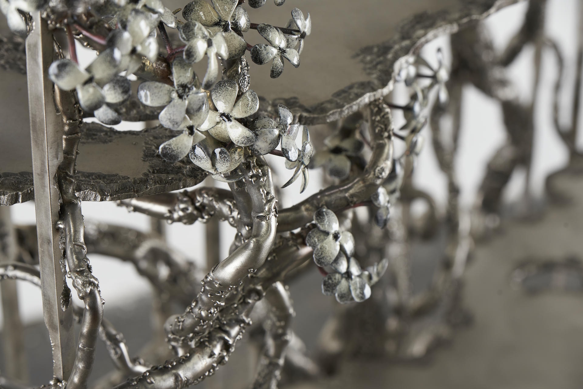 I Found You In The Forest Dreaming Shelves by Michael Gittings 12