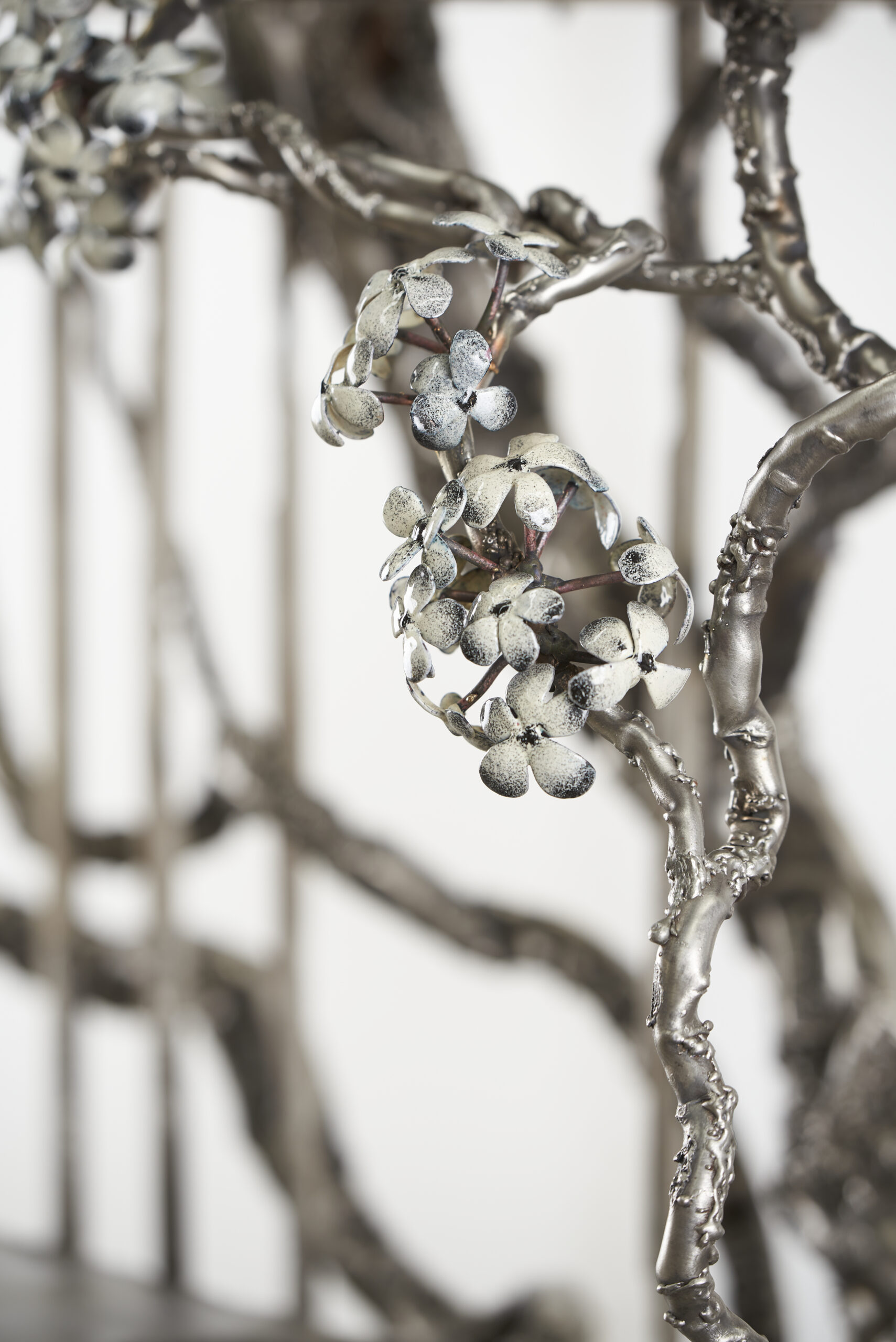 I Found You In The Forest Dreaming Shelves by Michael Gittings 13