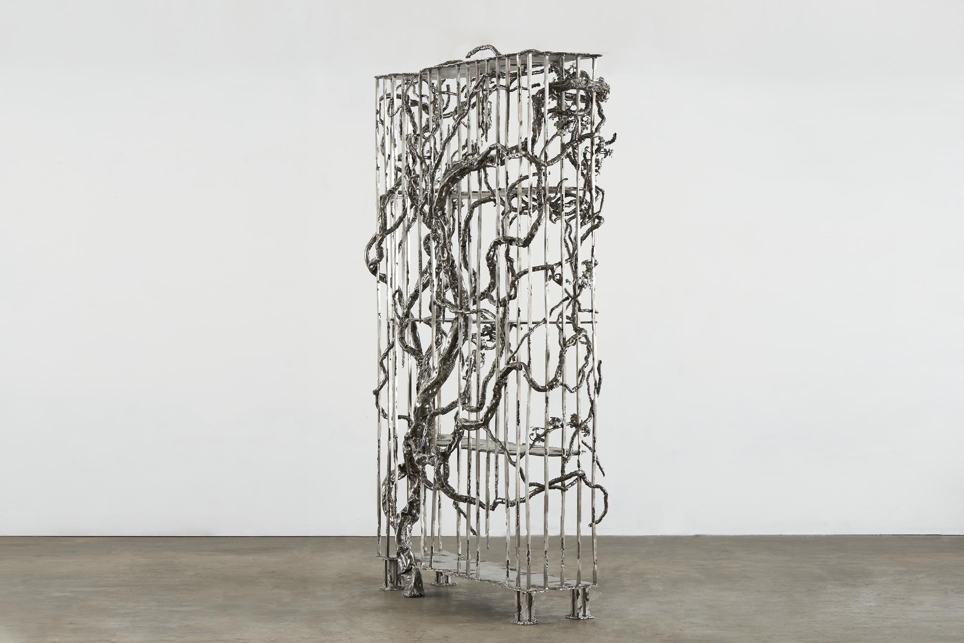 I Found You In The Forest Dreaming Shelves by Michael Gittings 3