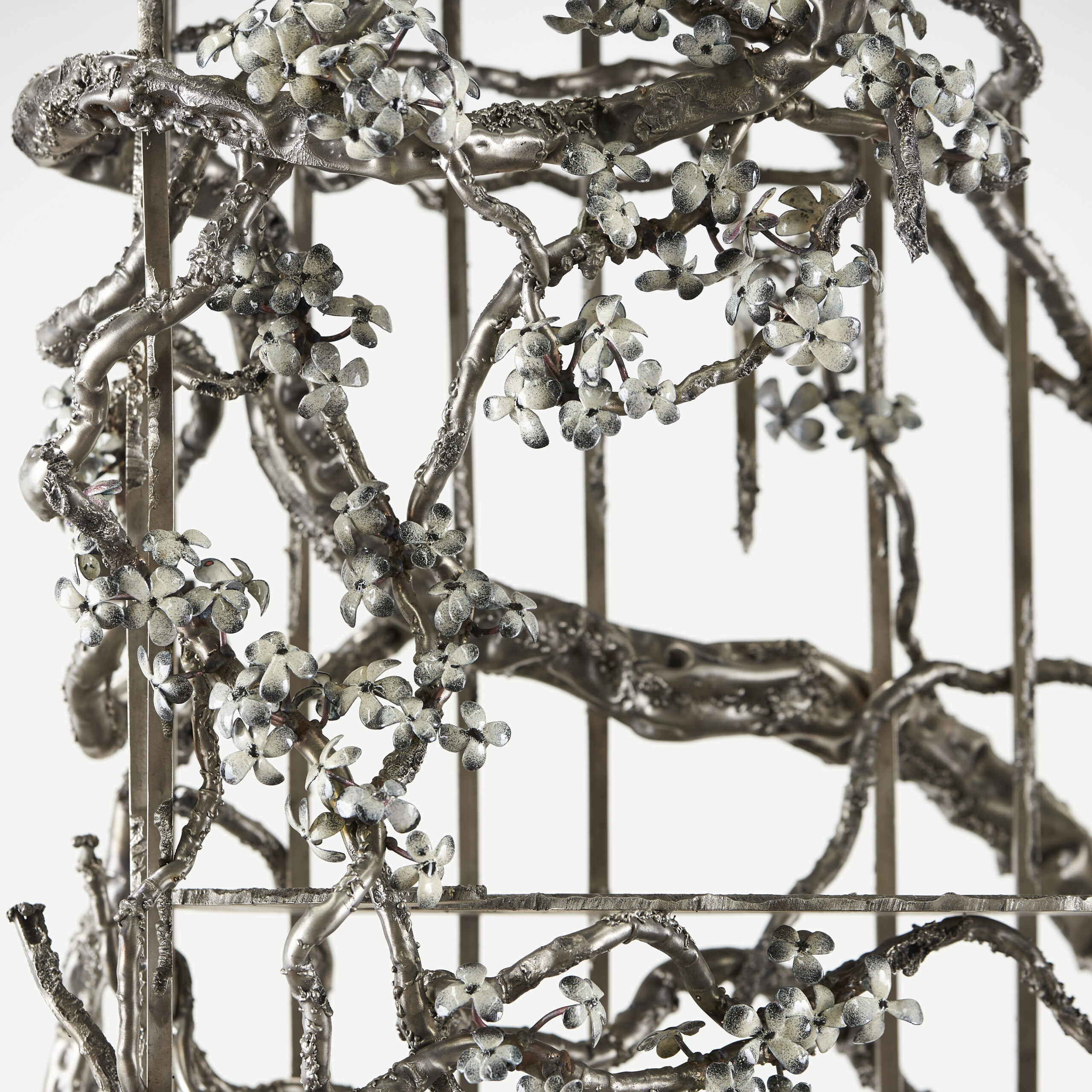 I Found You In The Forest Dreaming Shelves by Michael Gittings 7